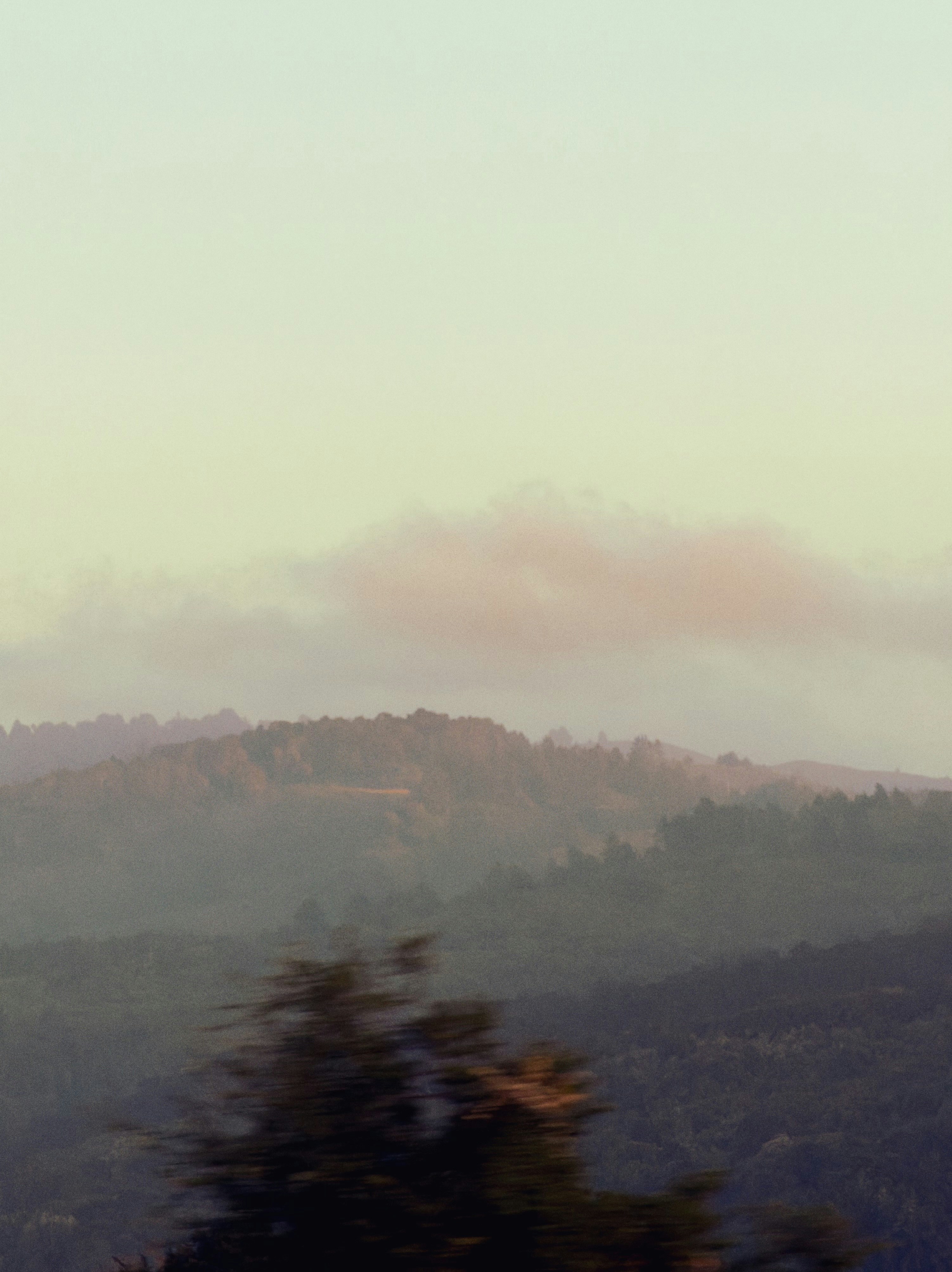 Soft light over rolling hills with a blurred tree.
