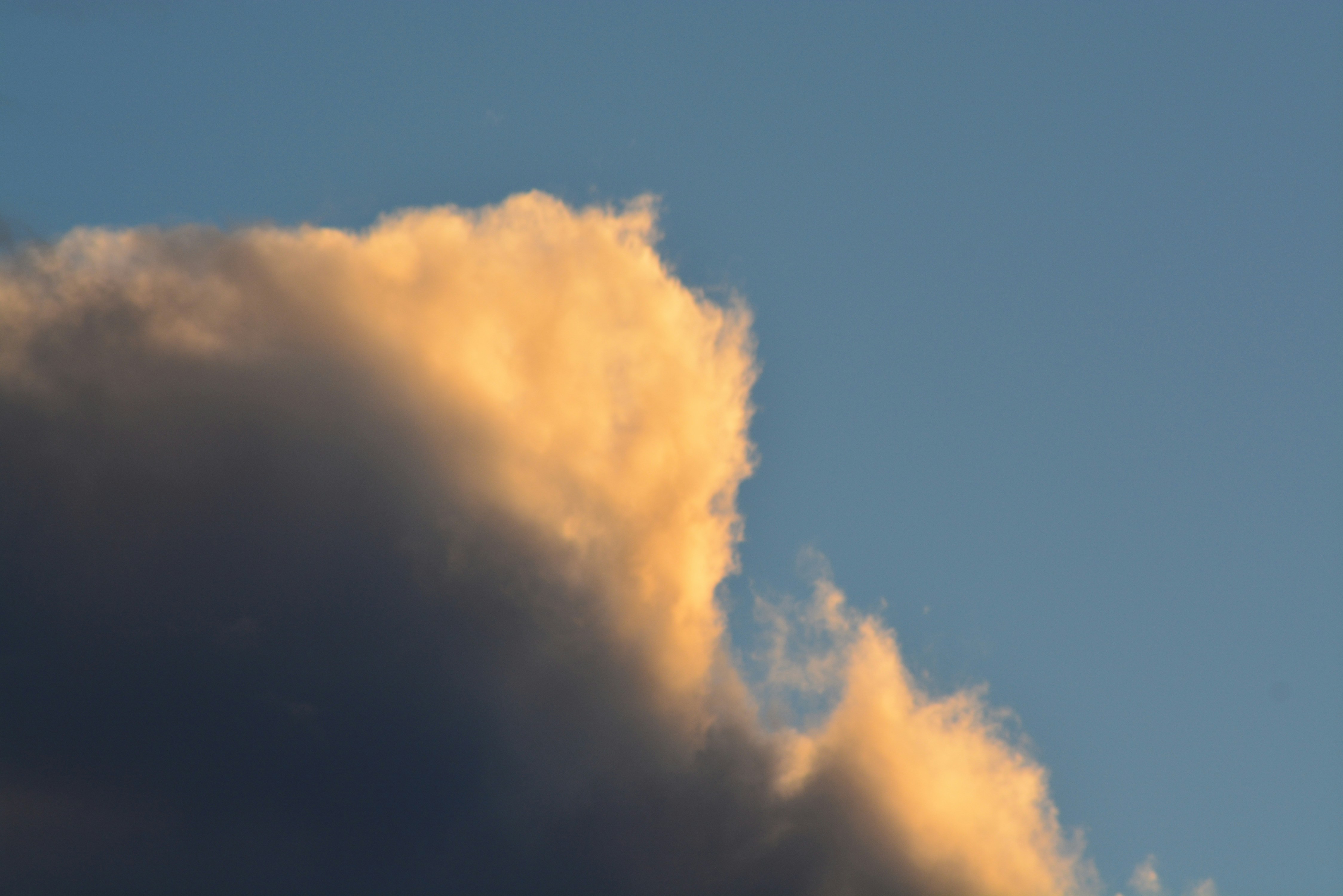 Photo by wortgemalt