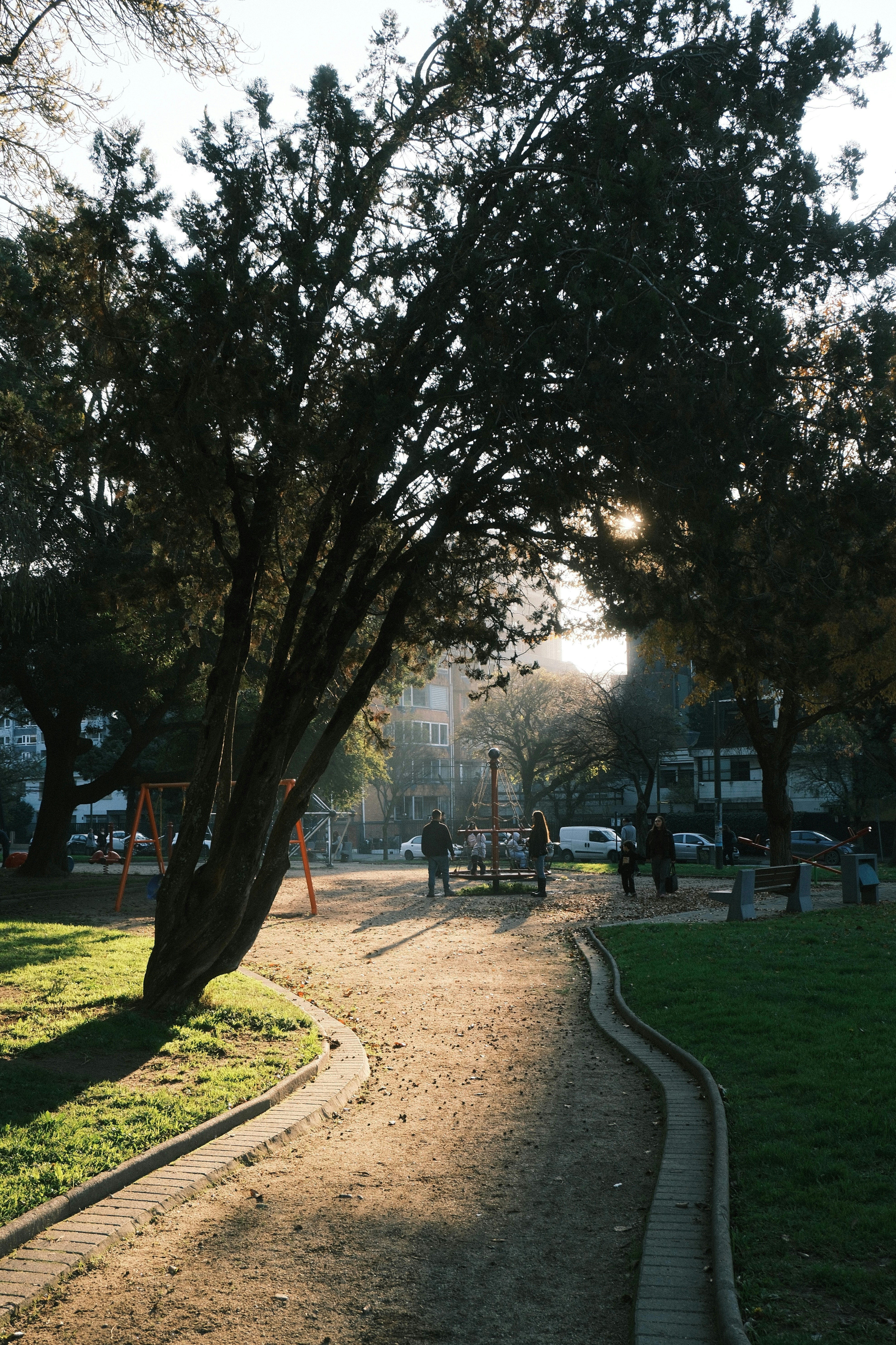Sunlit park with trees, a winding path, and distant people.