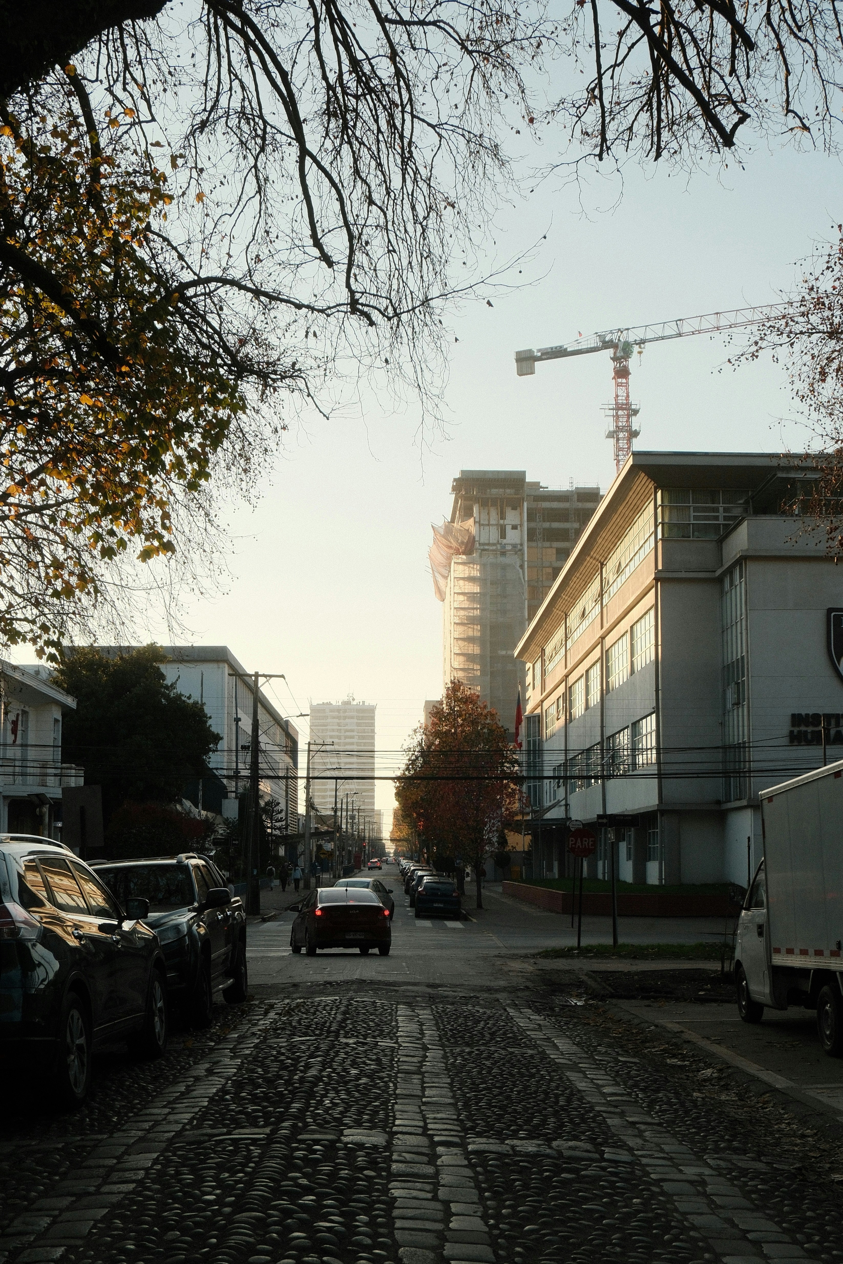 Photo by yaguer