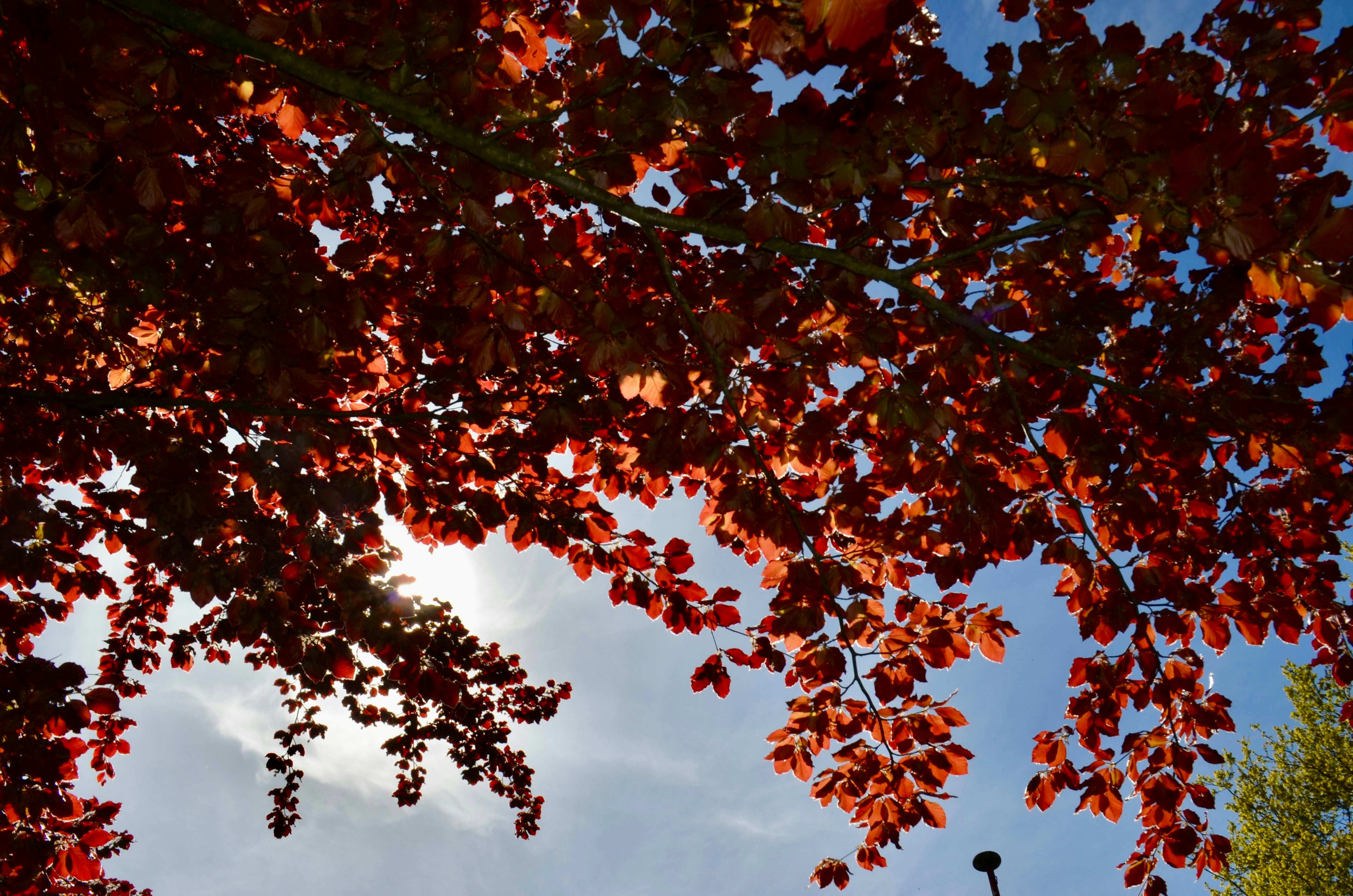 Photo by ozgeumay