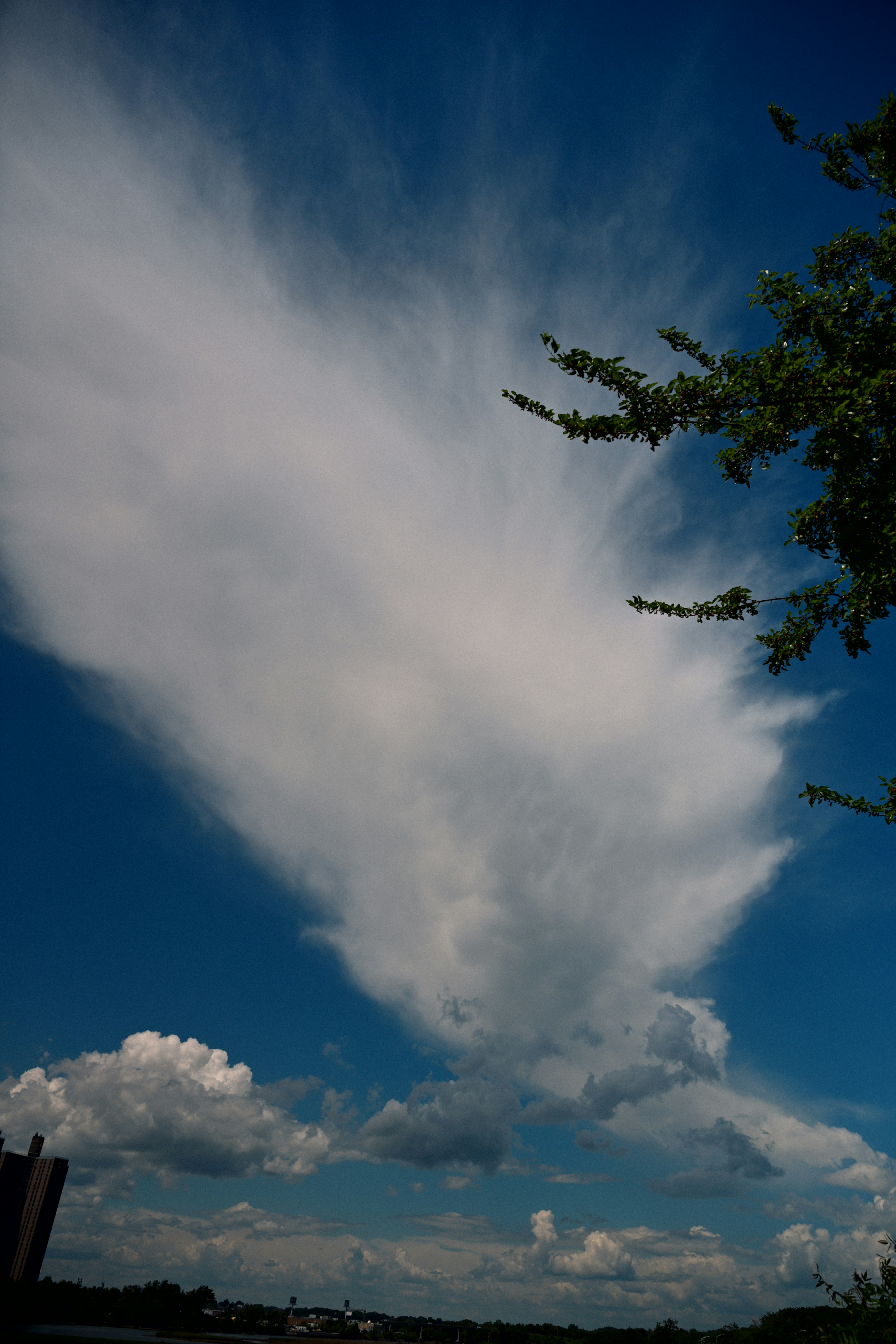 Photo by yi2026