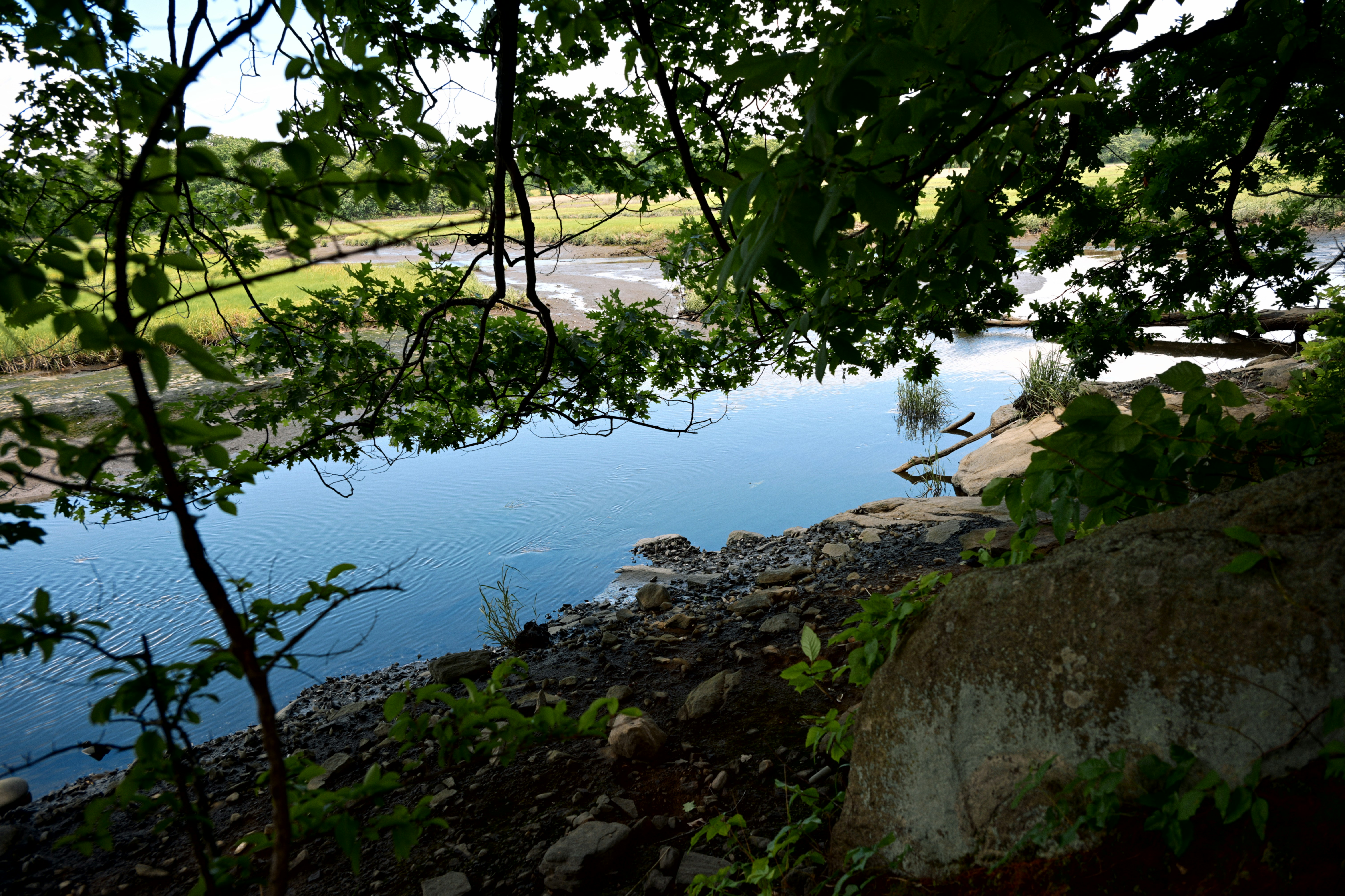 A calm river flows through a lush, green landscape.