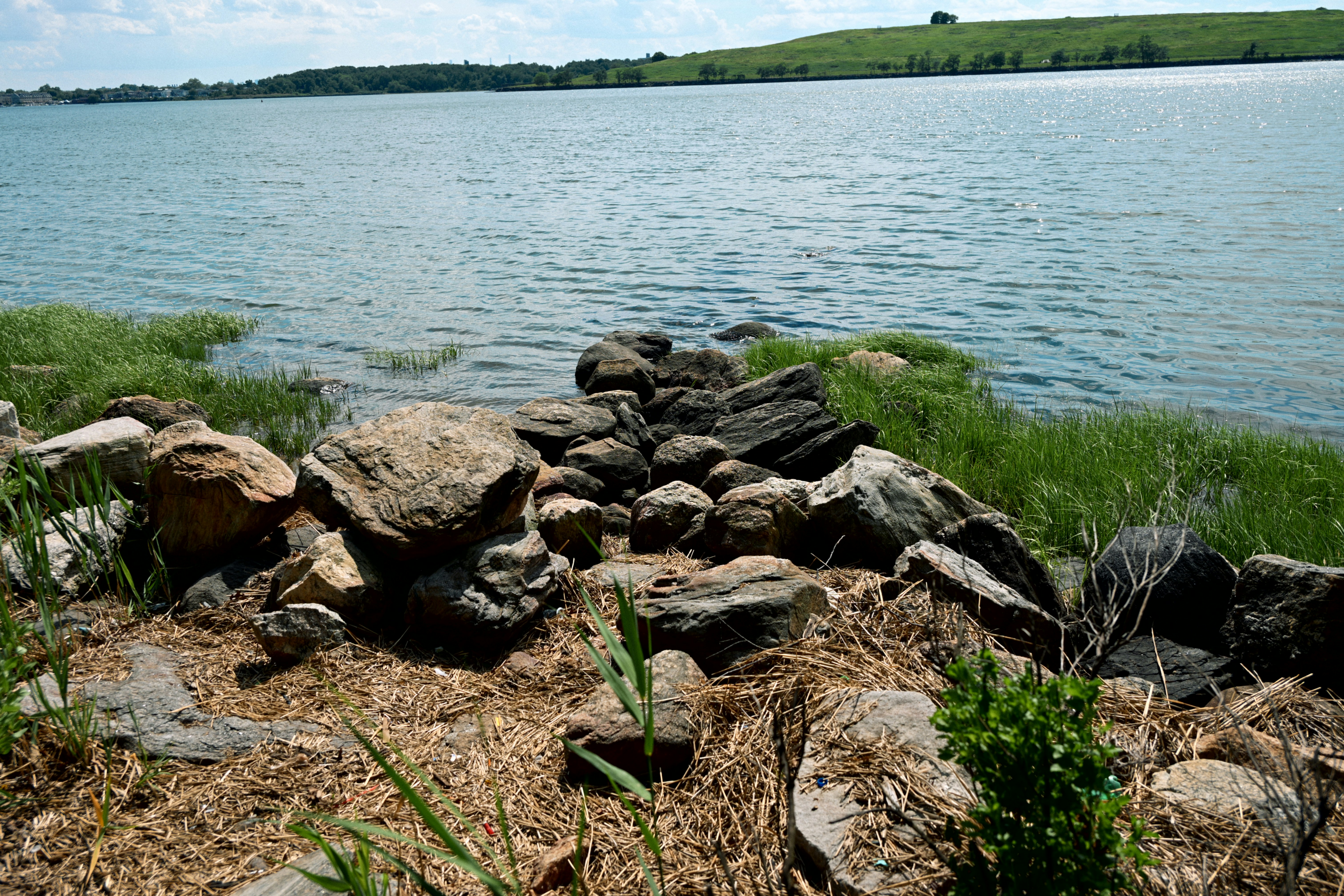 Rocky shoreline with a calm lake and distant green hills.