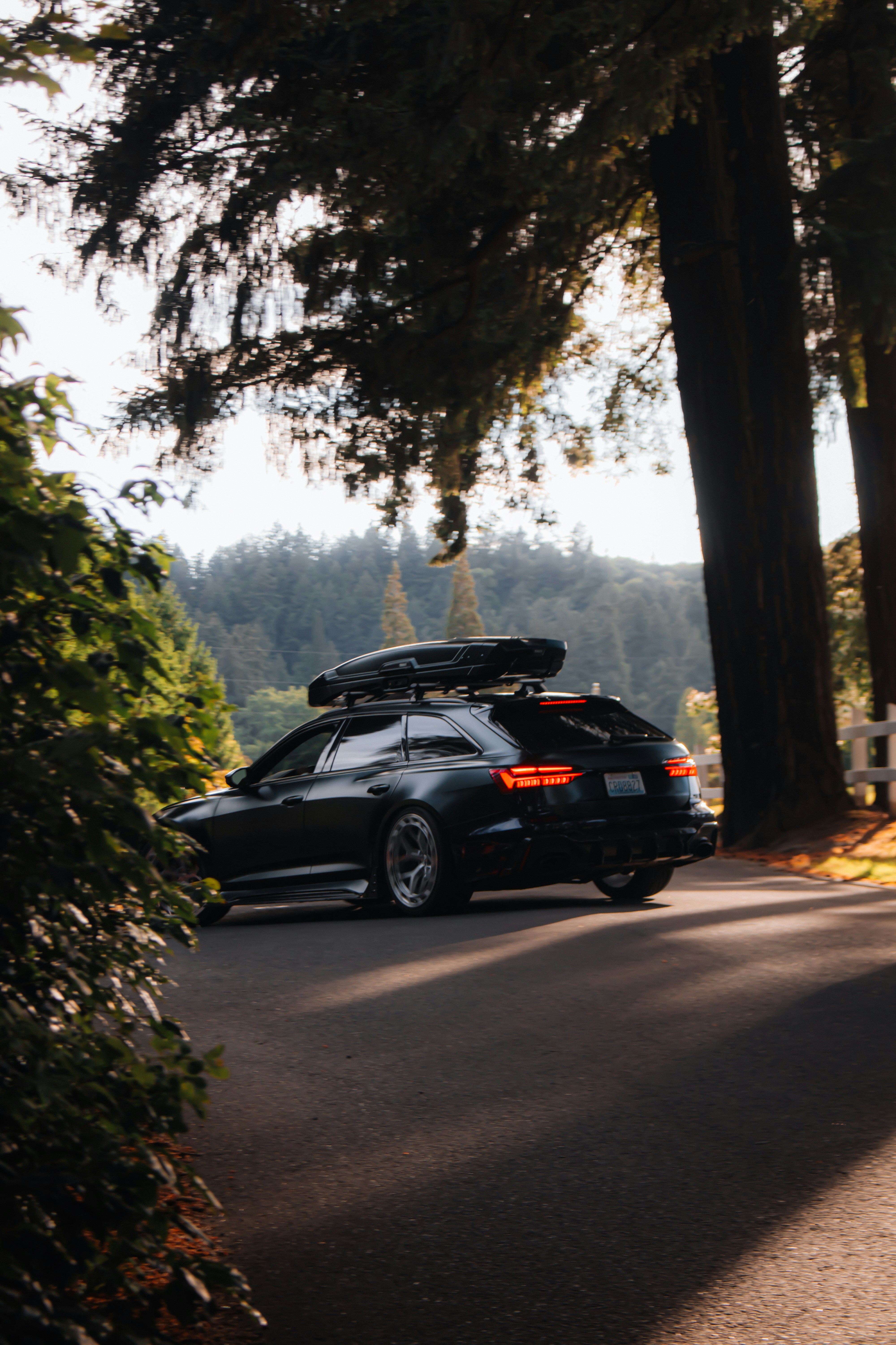 Dark car with a roof box on a tree-lined road.