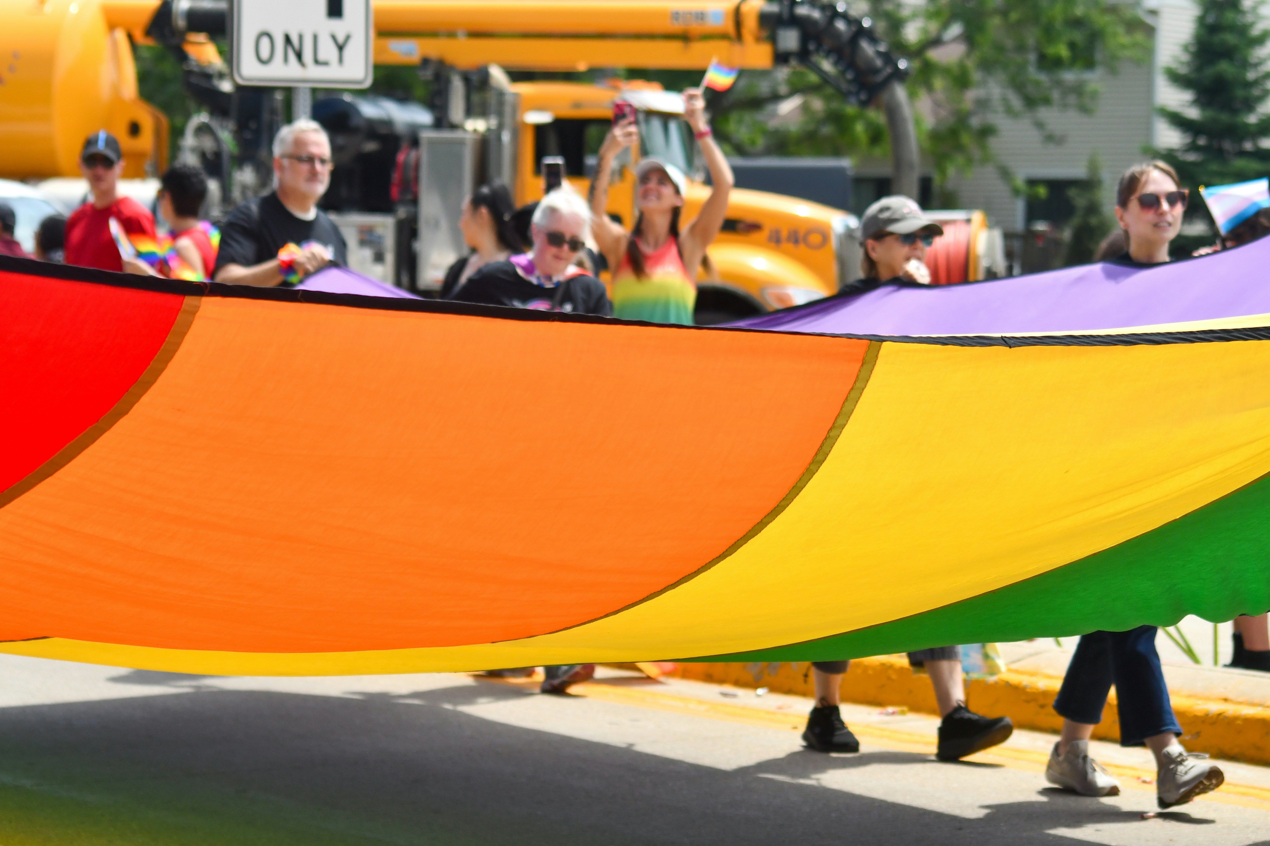 Diverse crowd proudly carries a vibrant rainbow flag.