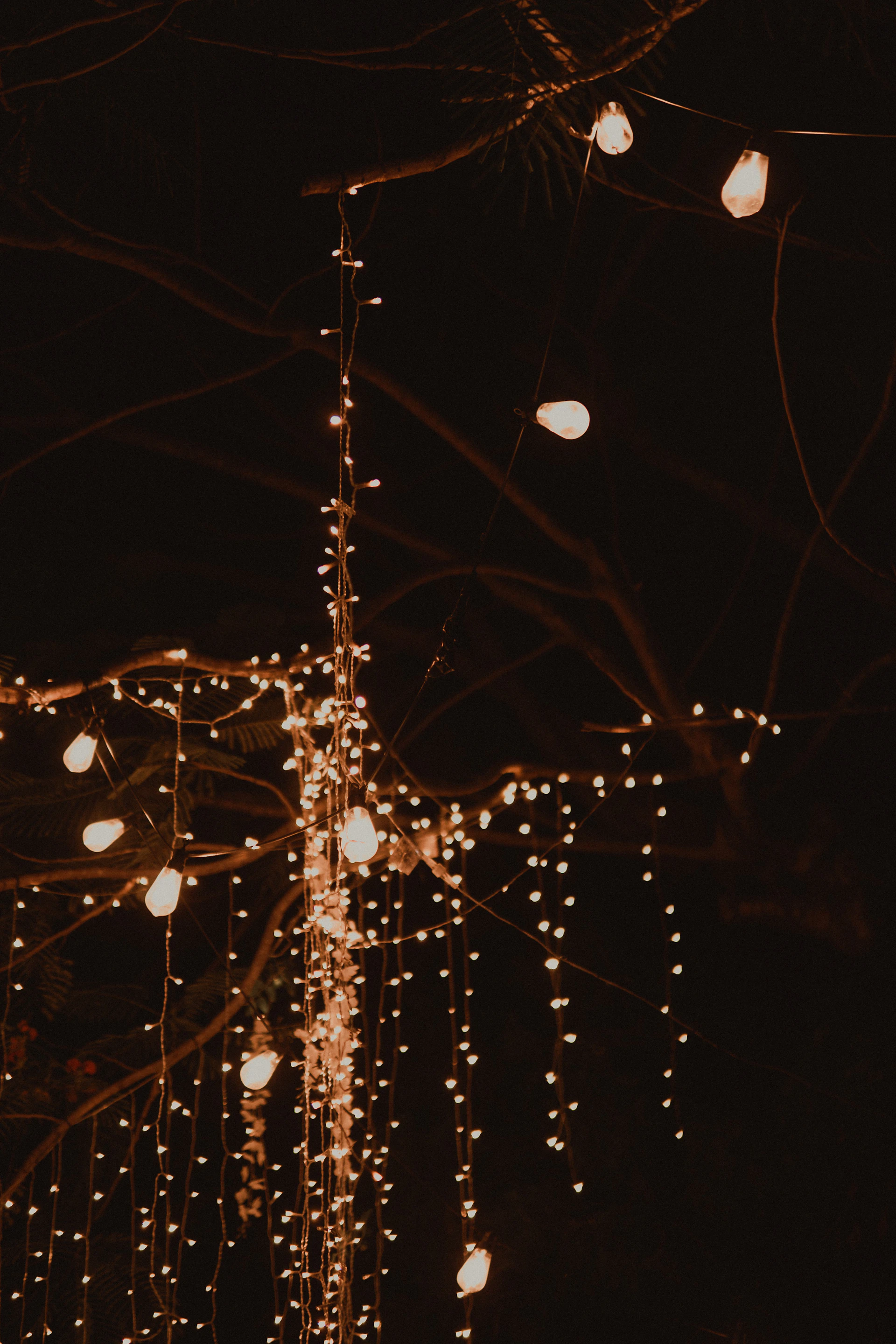 String lights over a wedding reception at night