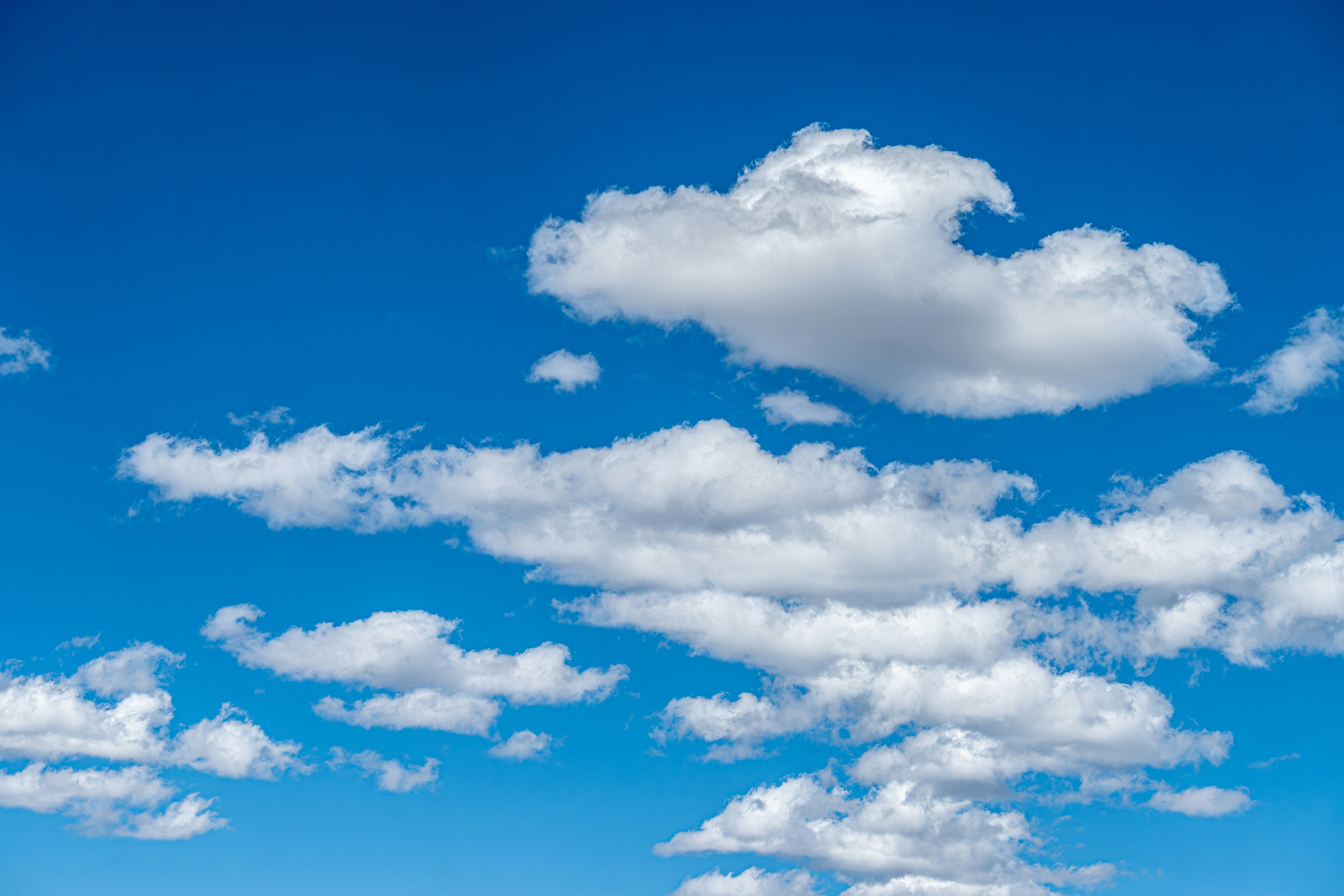 青空に散らばる白い積雲。