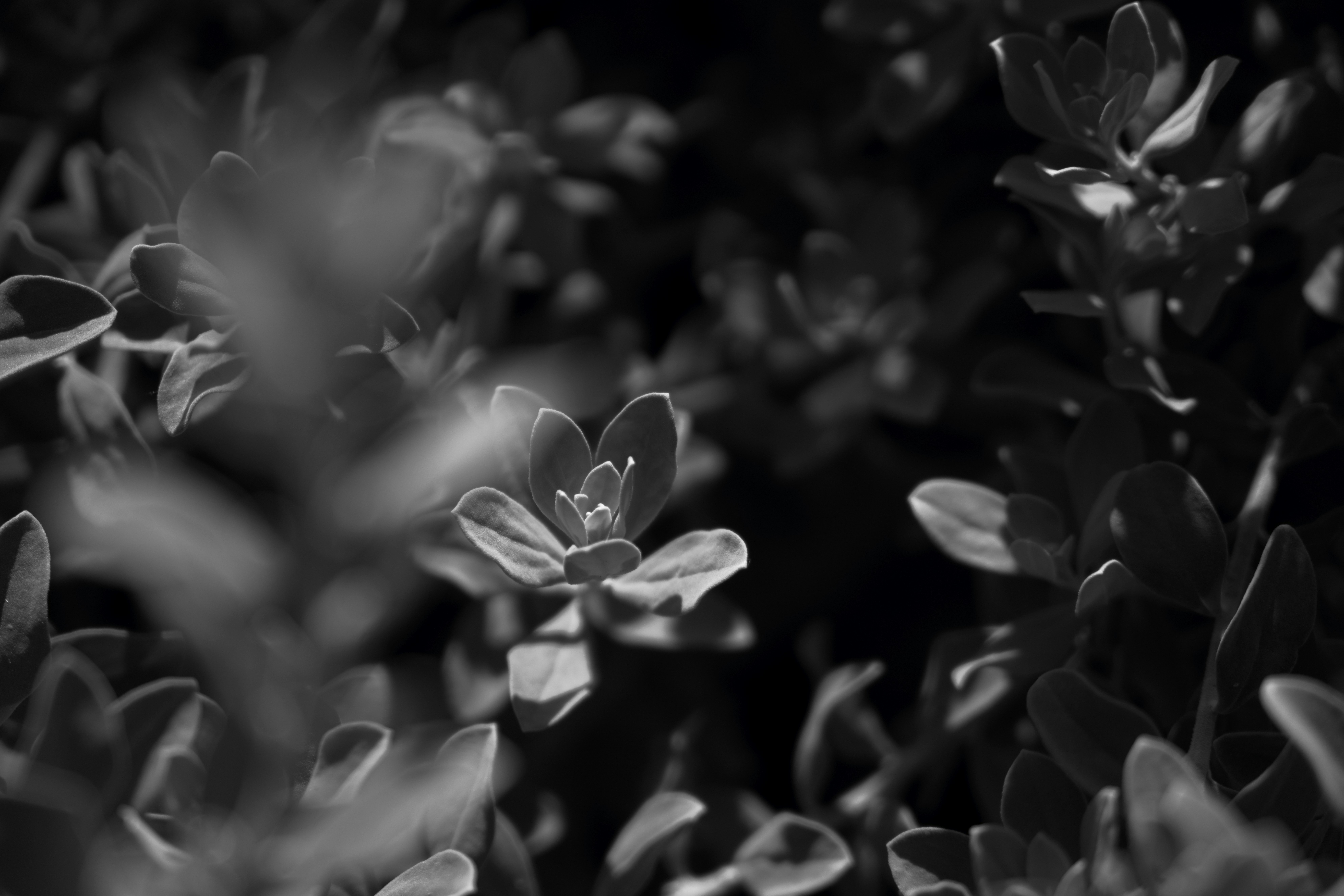 Photo by rubenmadila