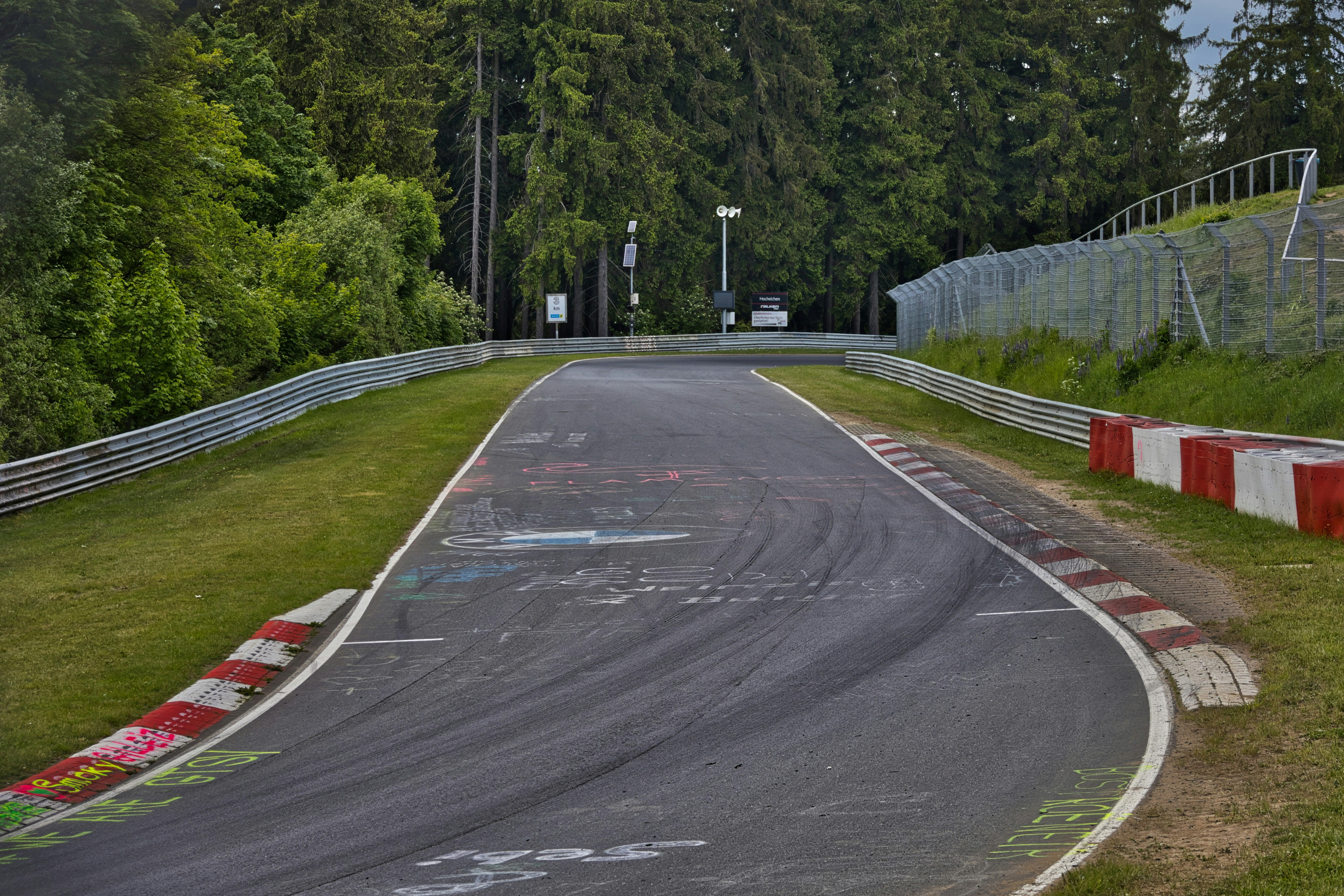 abandoned race track nature, wallpaper, Overgrown Race Track Vegetation Wallpapers: Nature's Beauty 3