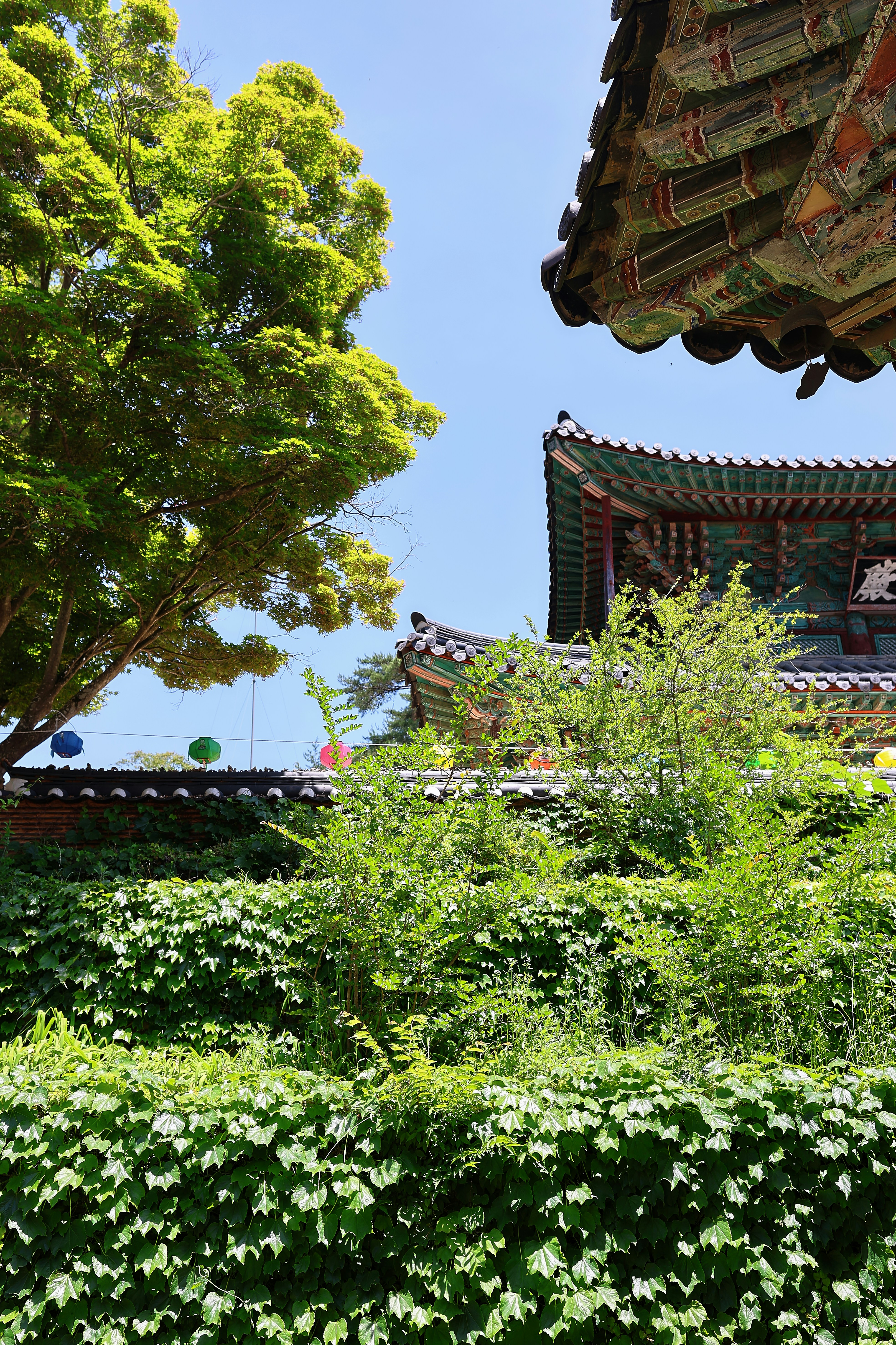 Traditional temple architecture amidst lush green trees and blue sky.