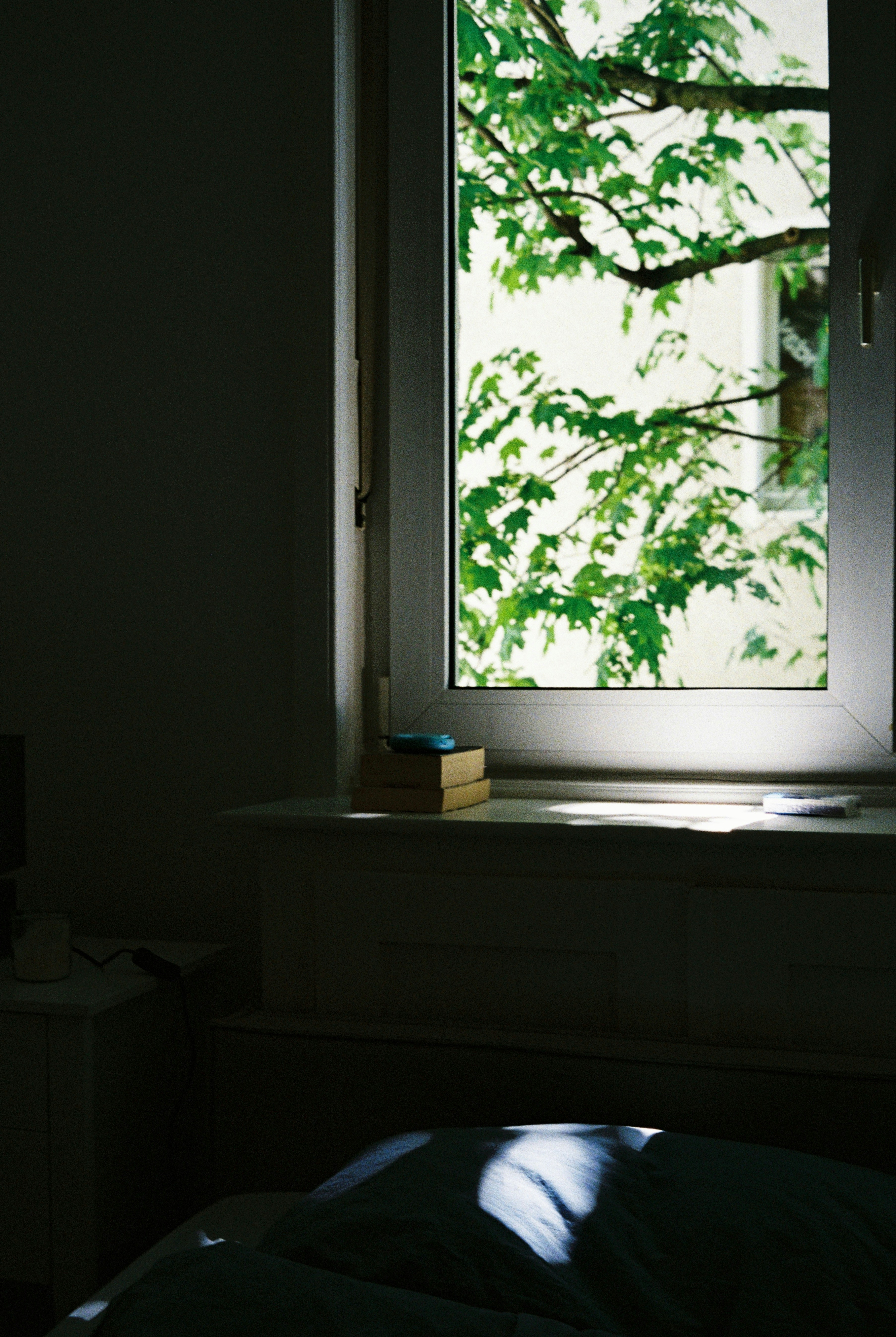 Photo by hypernature