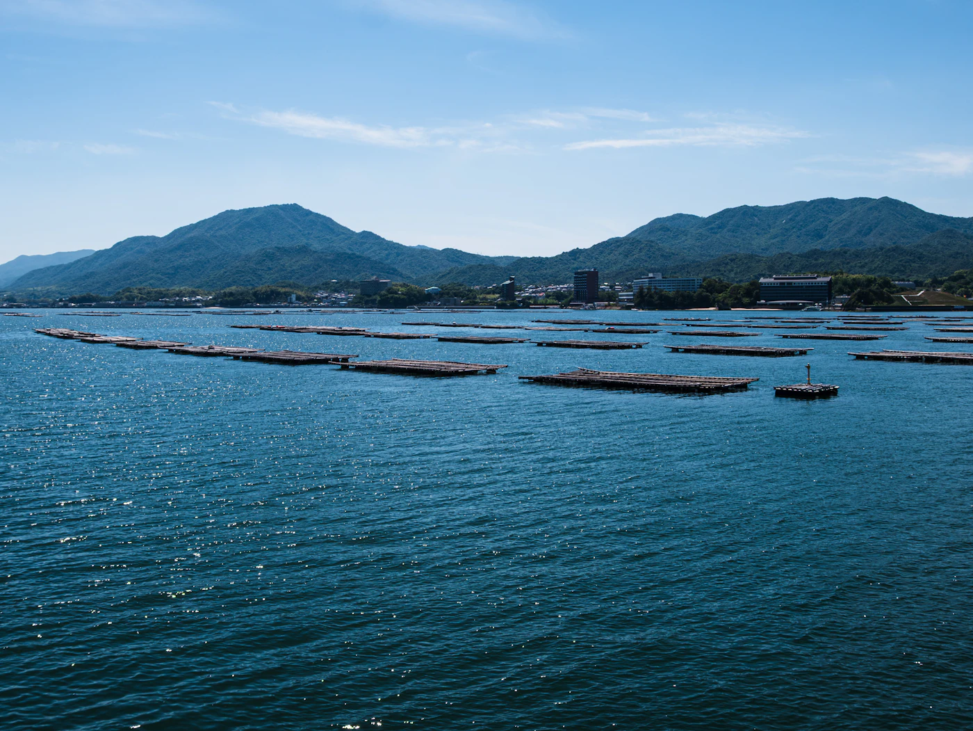 Oyster farms floating in the bay of Mali Ston