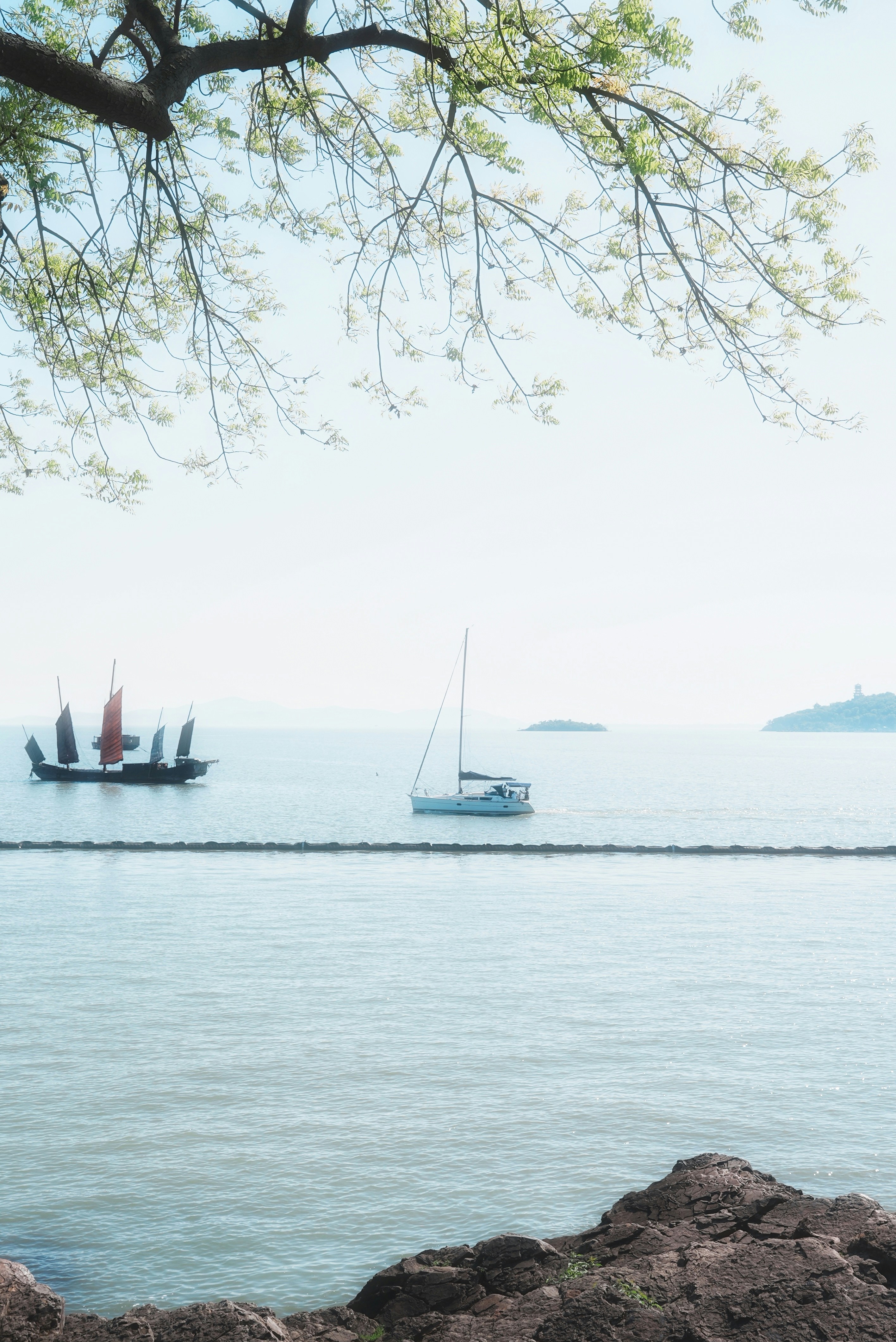 Photo by chen_yang