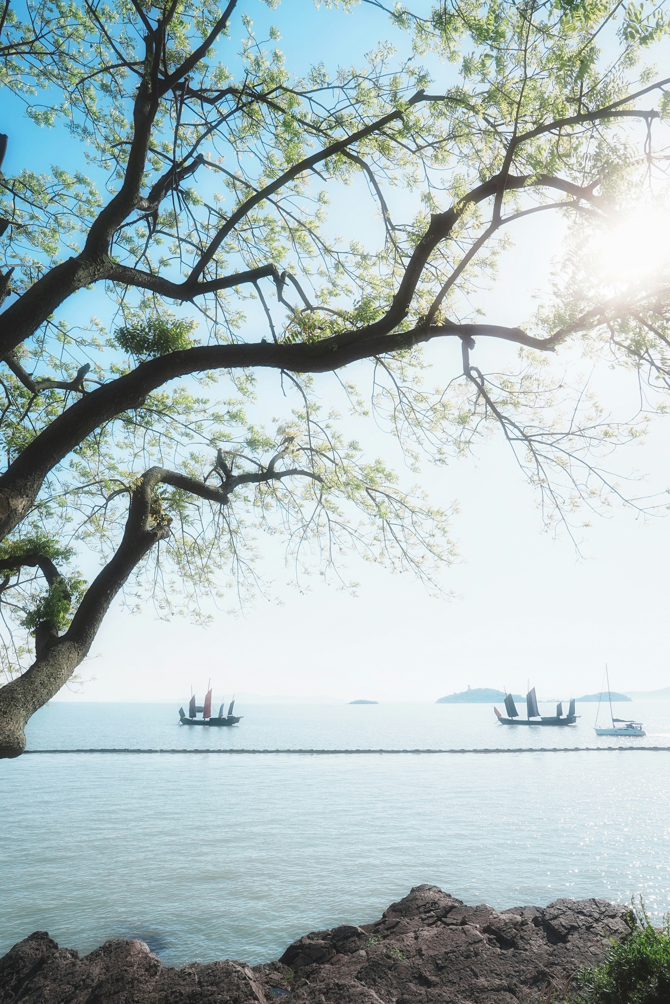 Photo by chen_yang