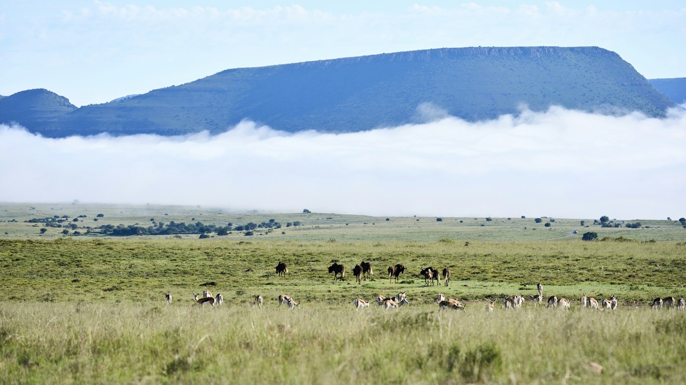 Mist lifting off the savannah at first light