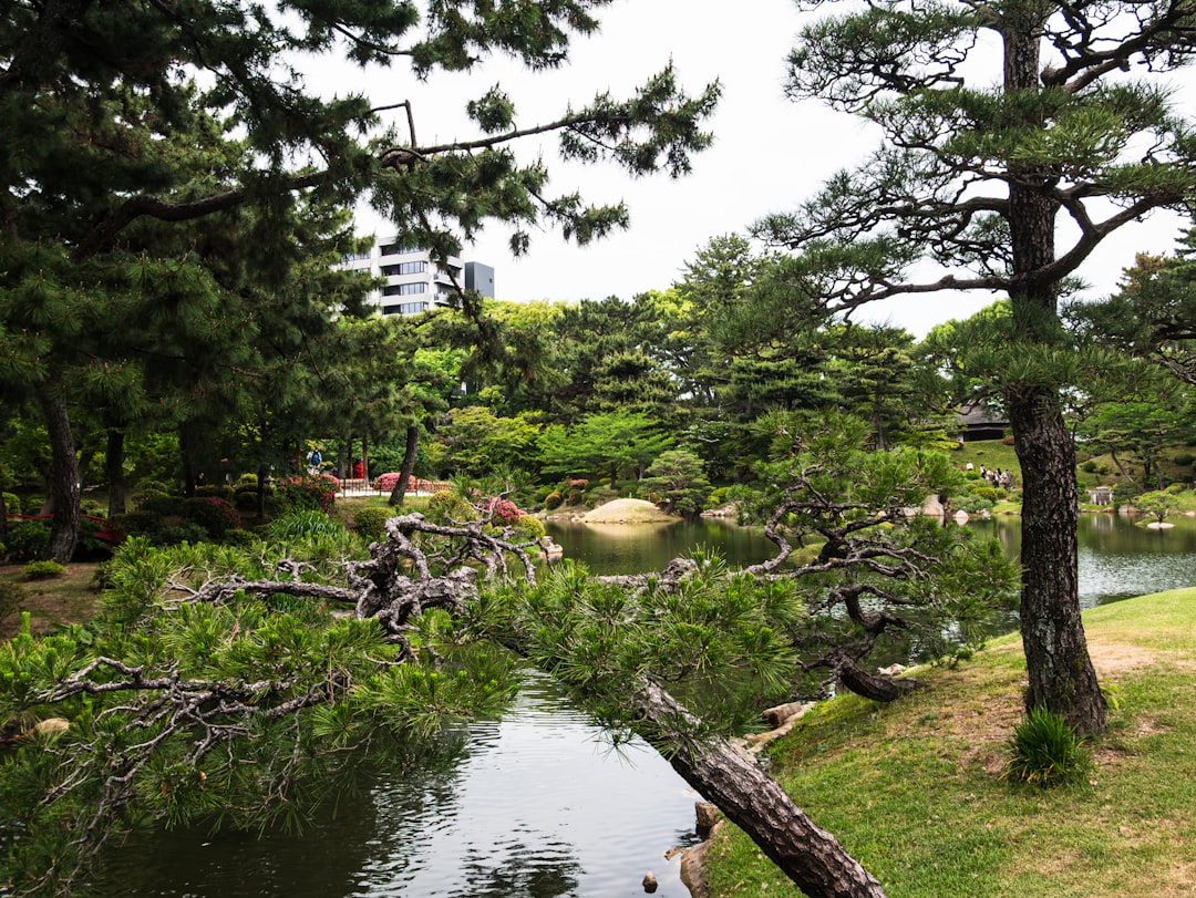 관련 이미지