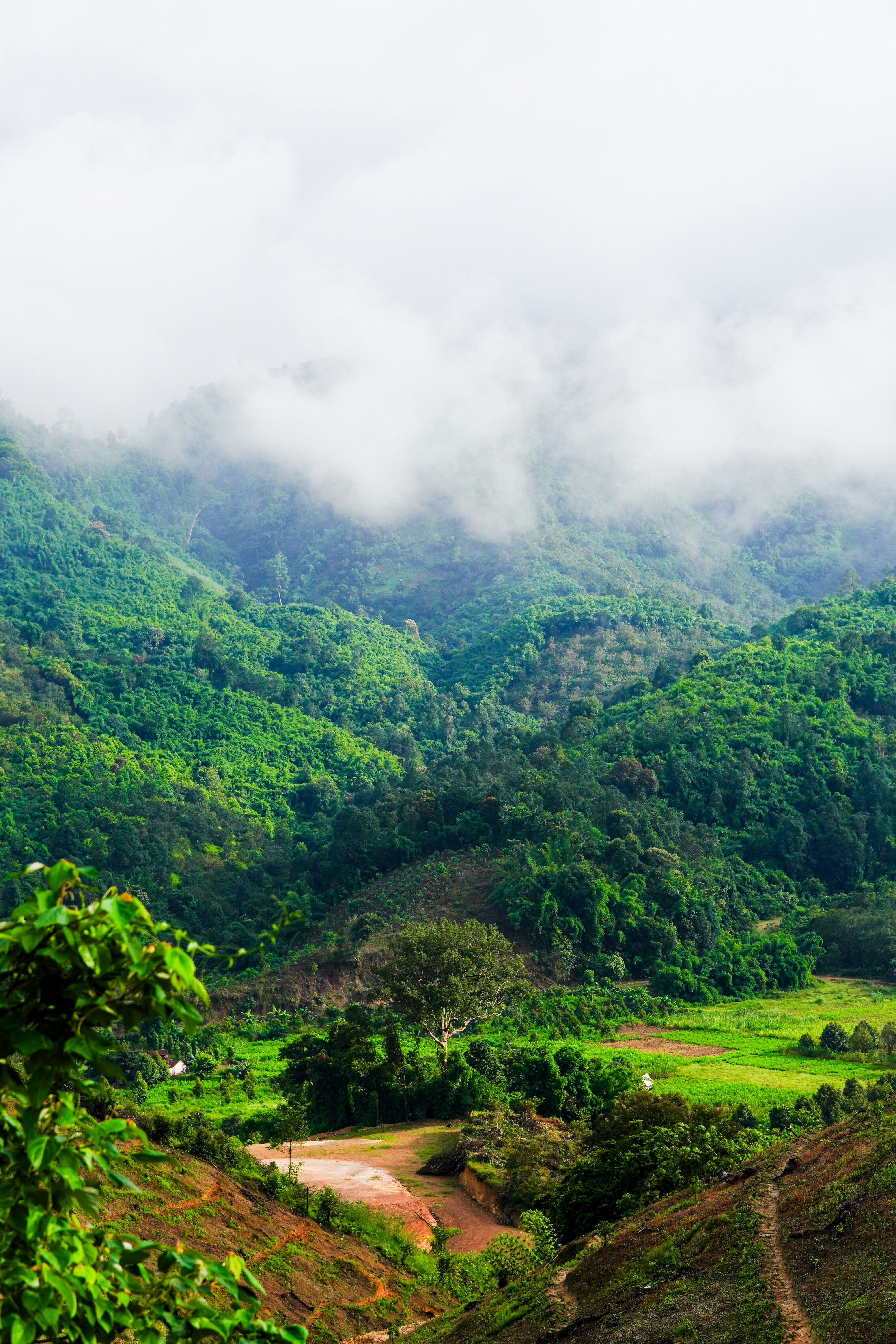 Photo by nguyen_dat