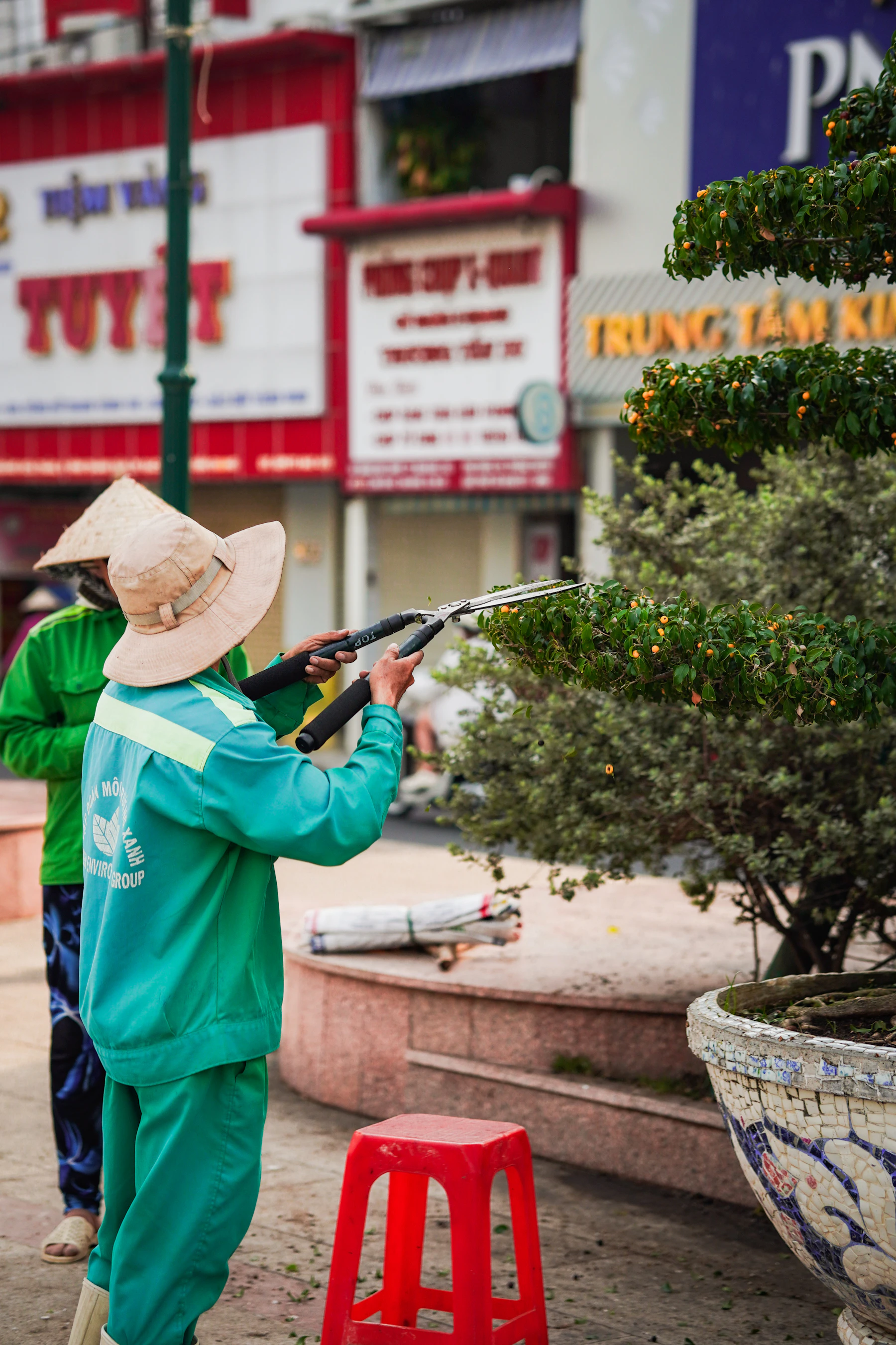 Tree care worker pruning a young tree outdoors