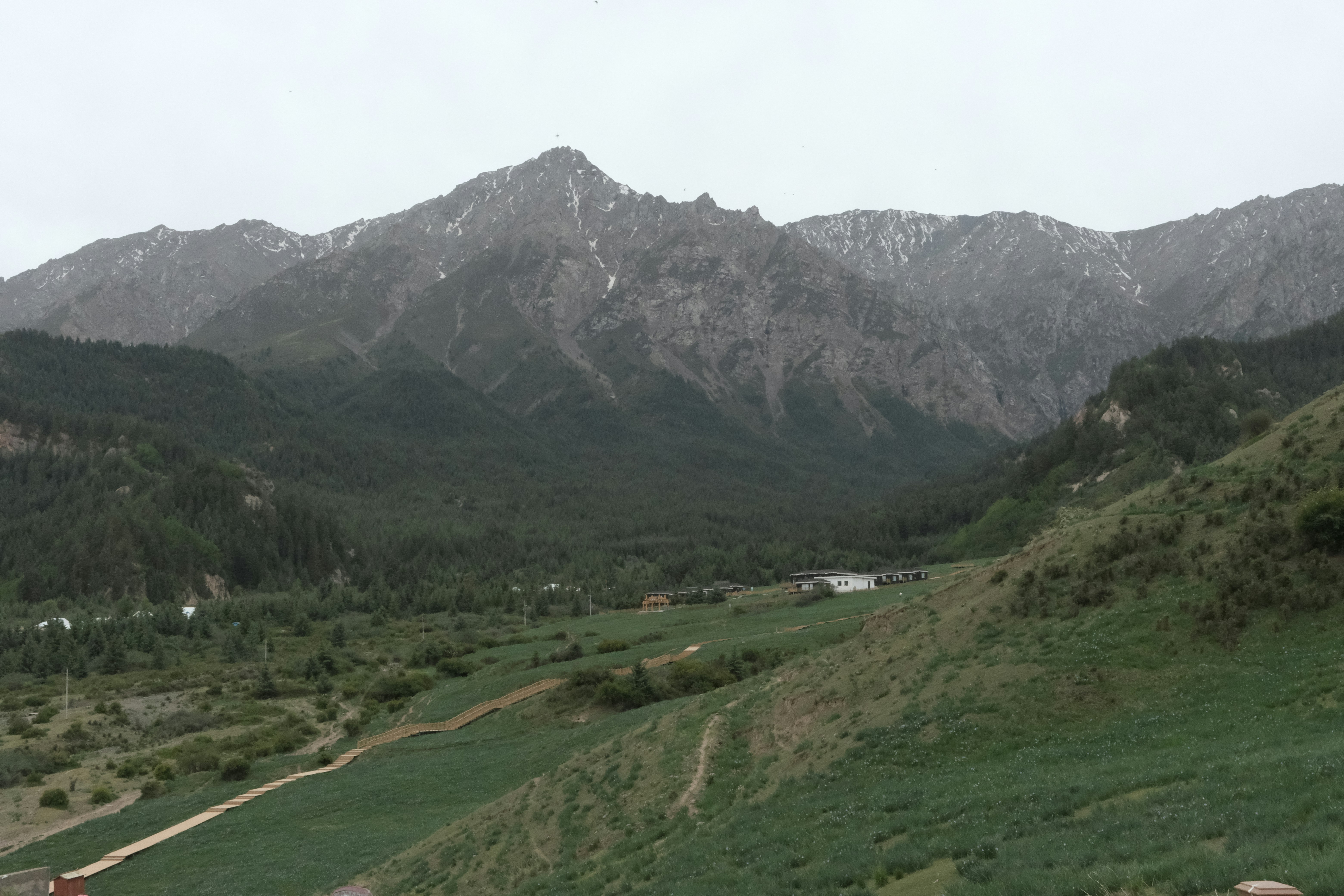 Green valley with snow-capped mountains under a cloudy sky.
