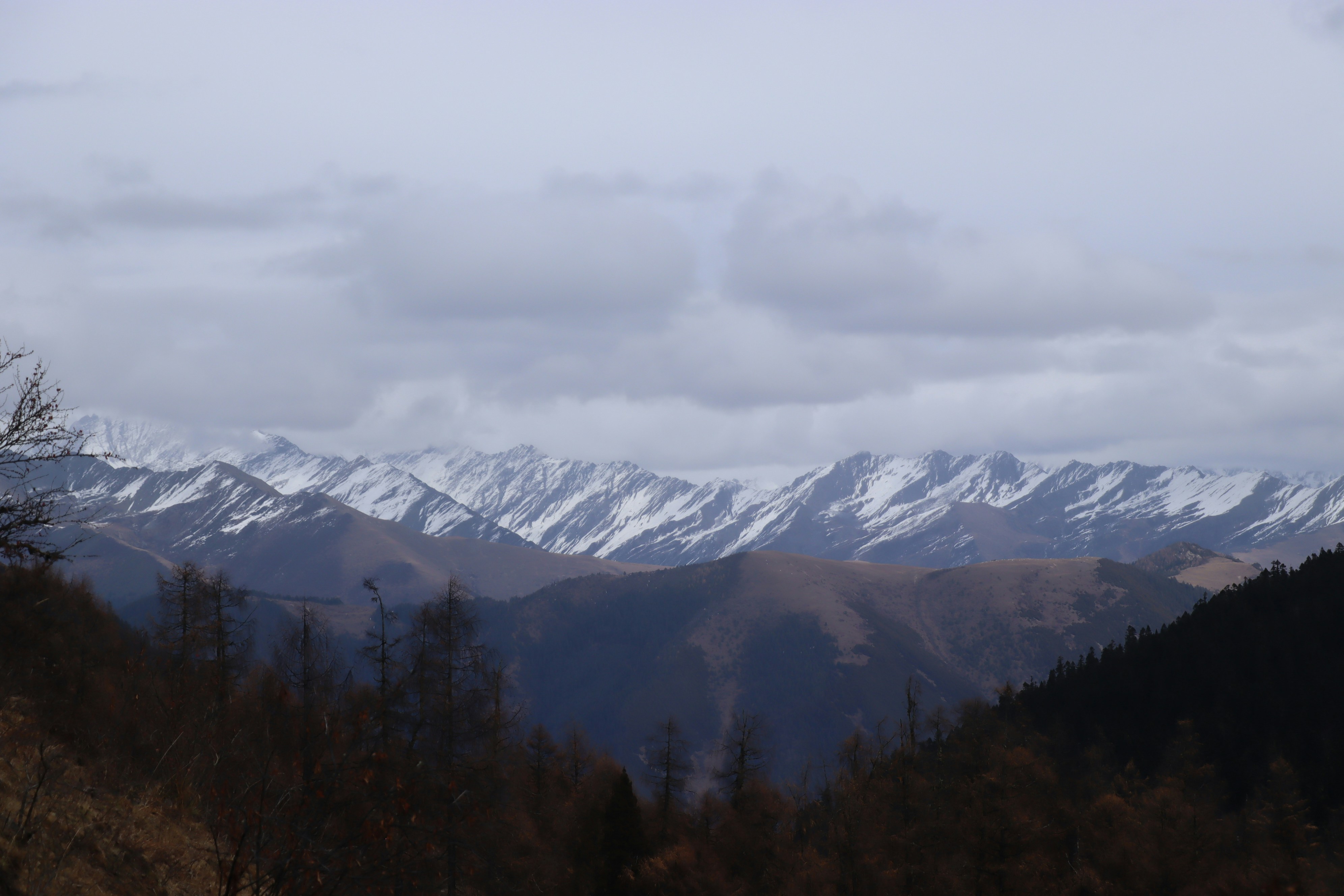 Photo by llii2