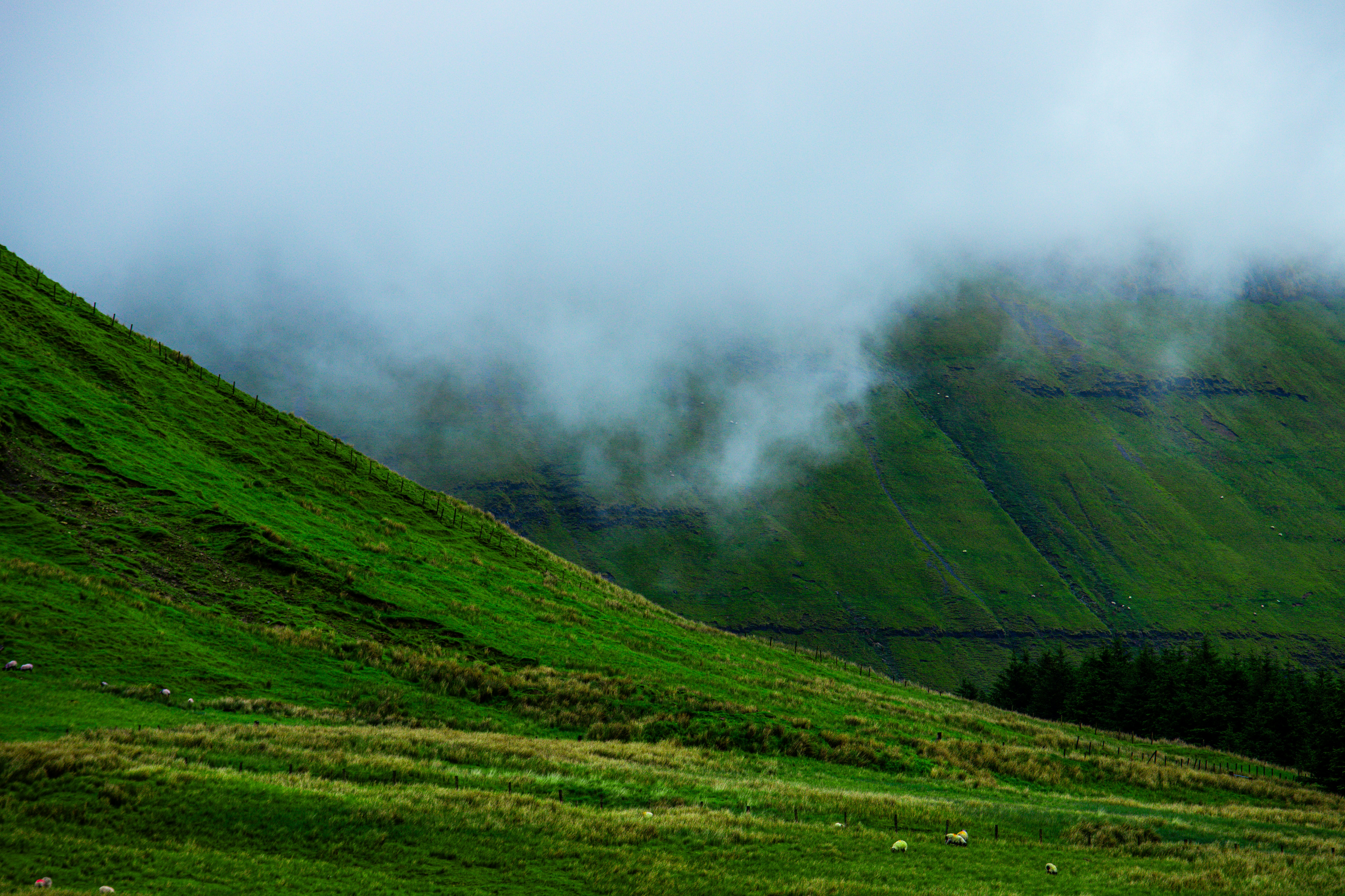 Photo by atelierbyvineeth