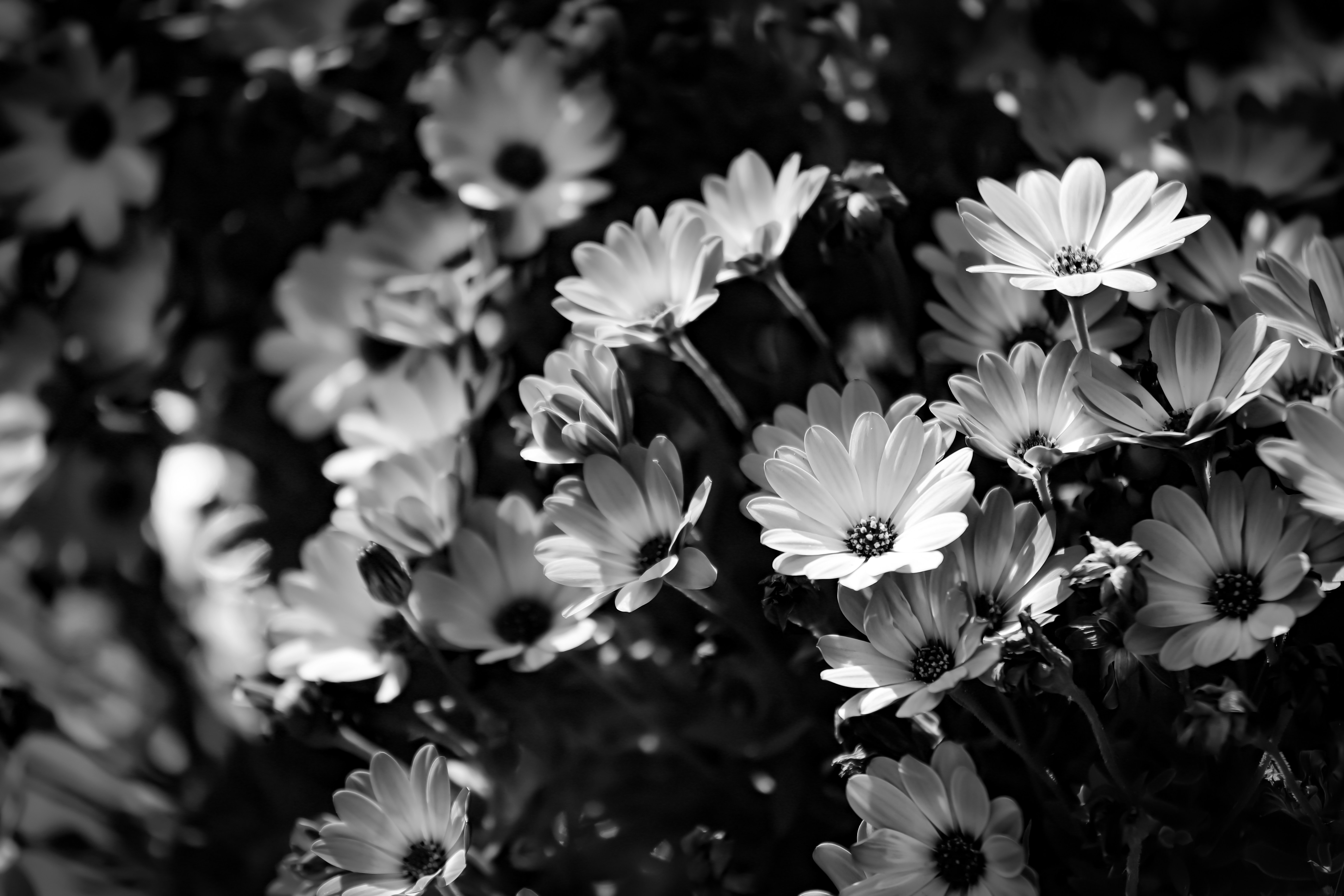 Photo by atelierbyvineeth