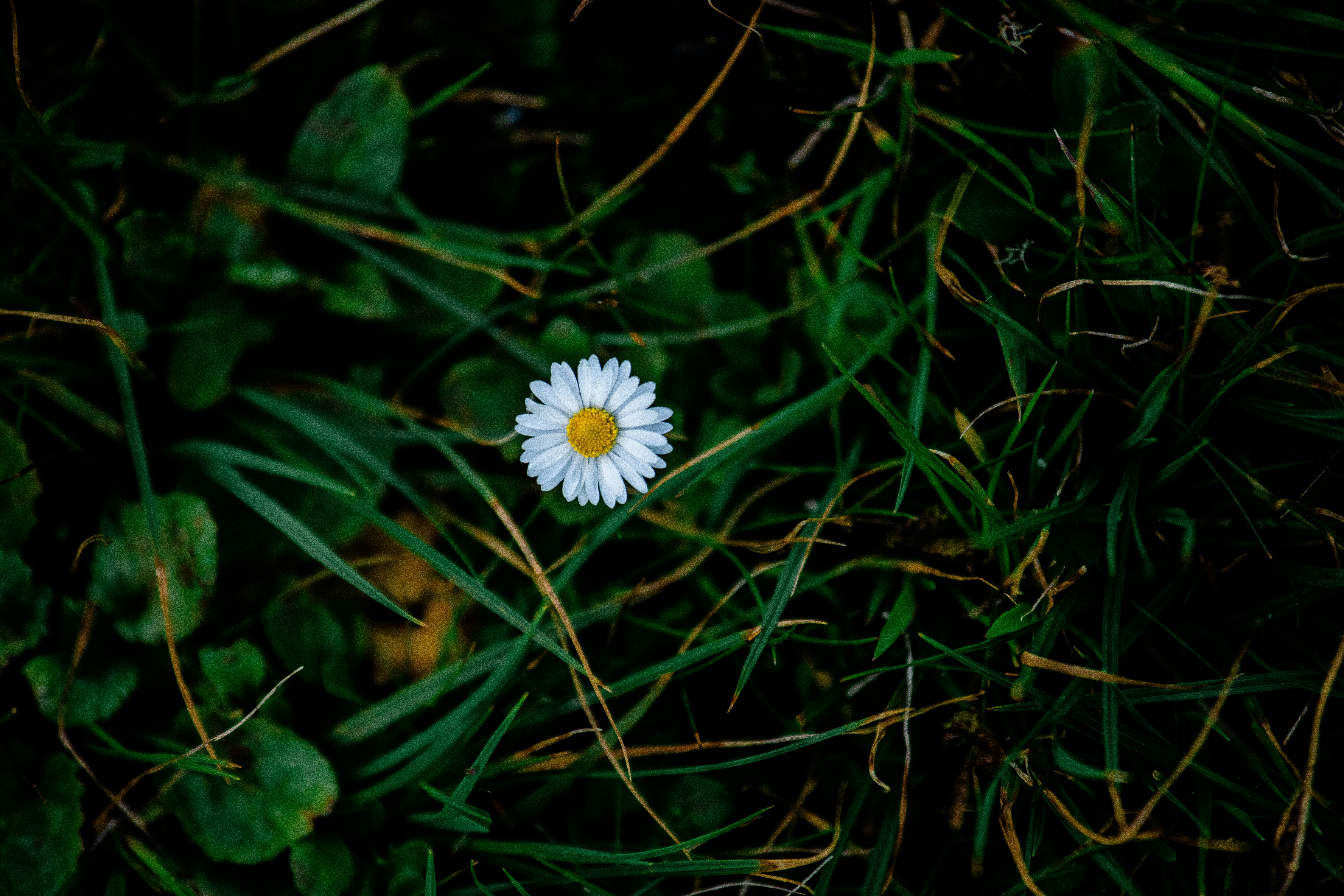 Photo by atelierbyvineeth