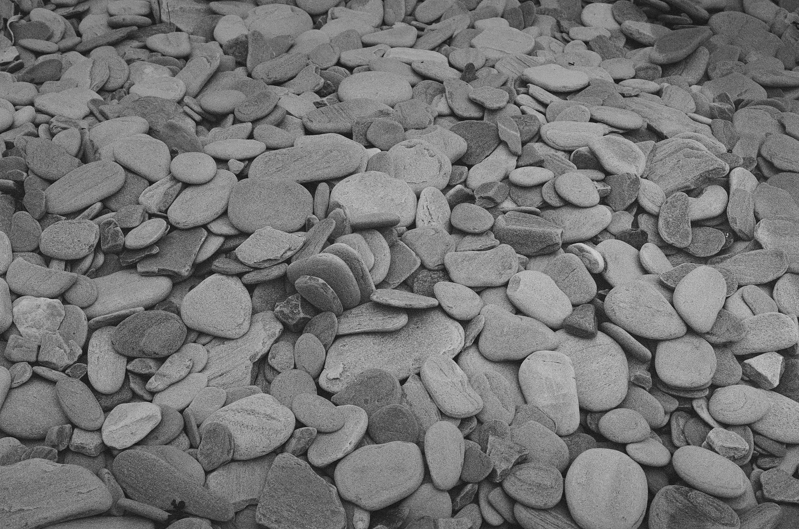 Many smooth, grey, flat stones