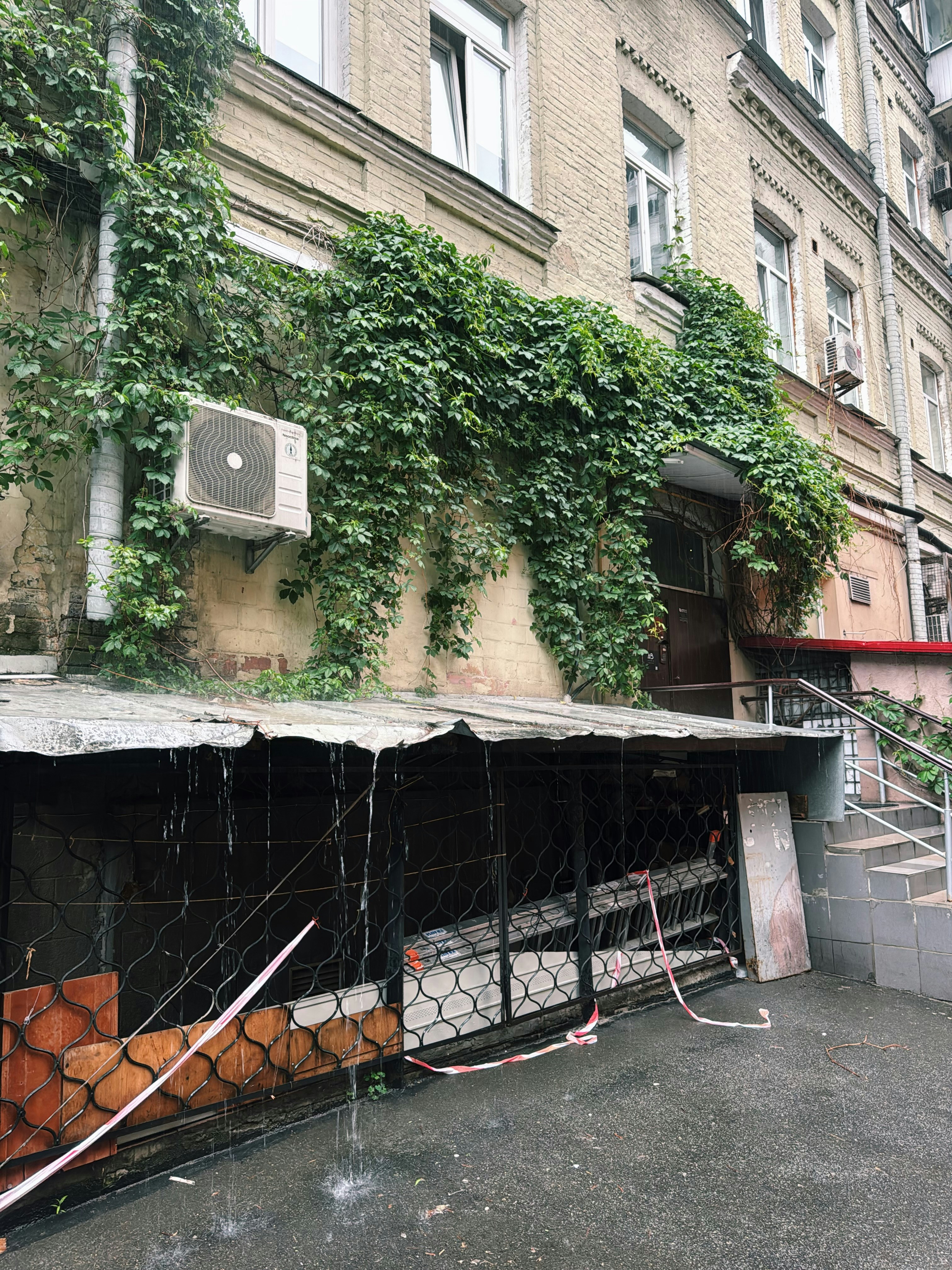 Ivy-covered building facade with an air conditioner and basement entrance.