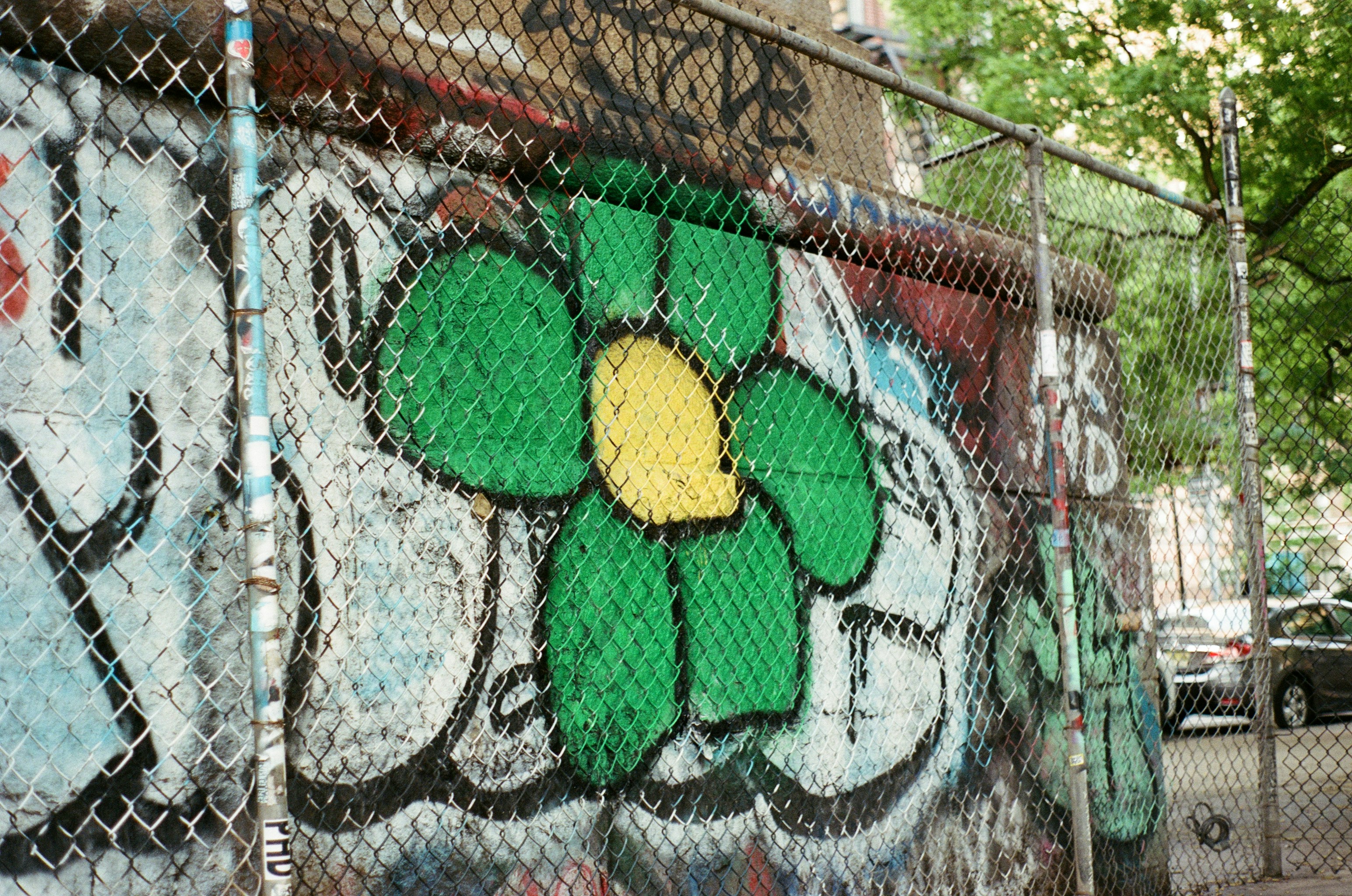 Green flower graffiti on a wall behind a chain-link fence.