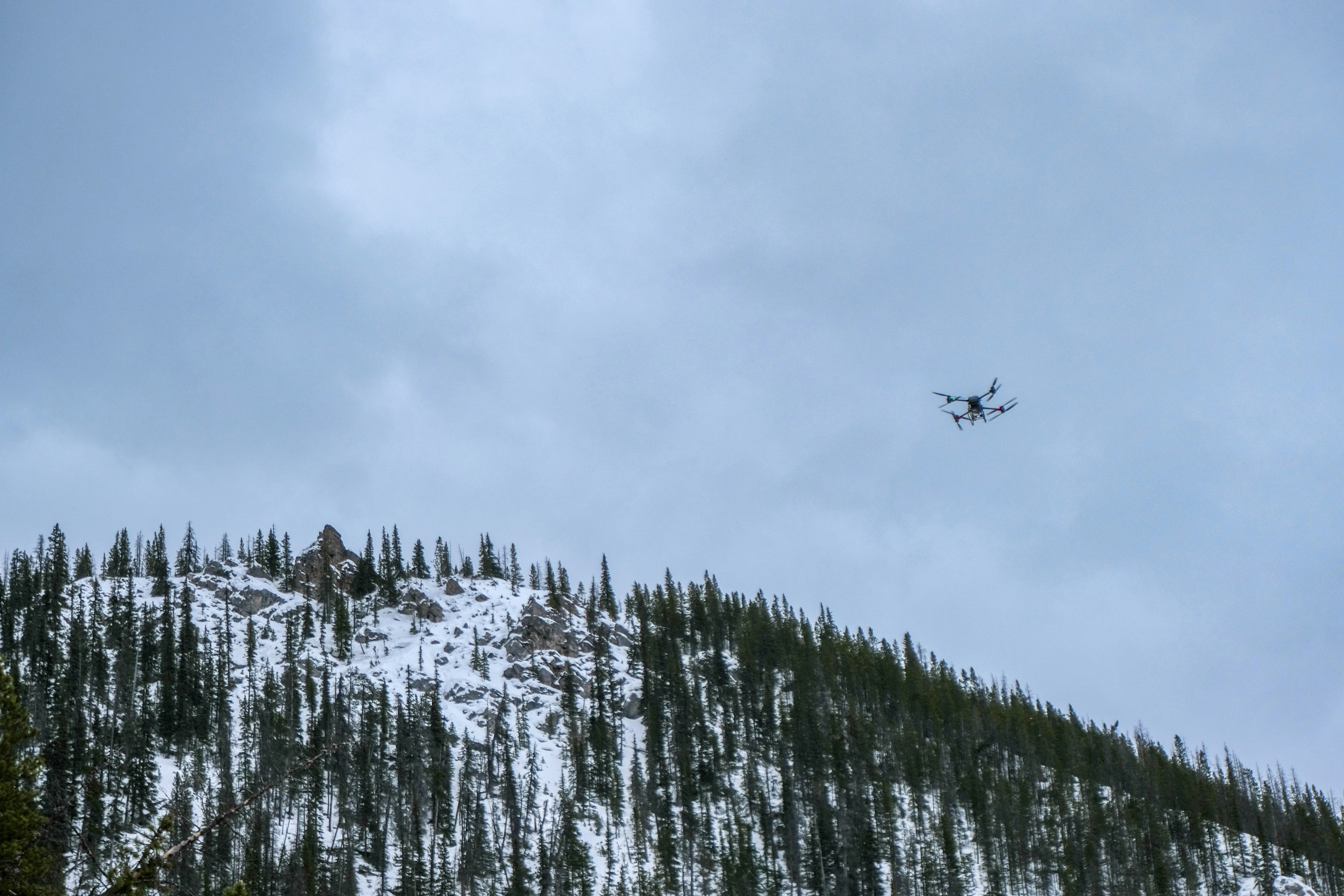 A drone flying over a snowy mountain with evergreen trees.