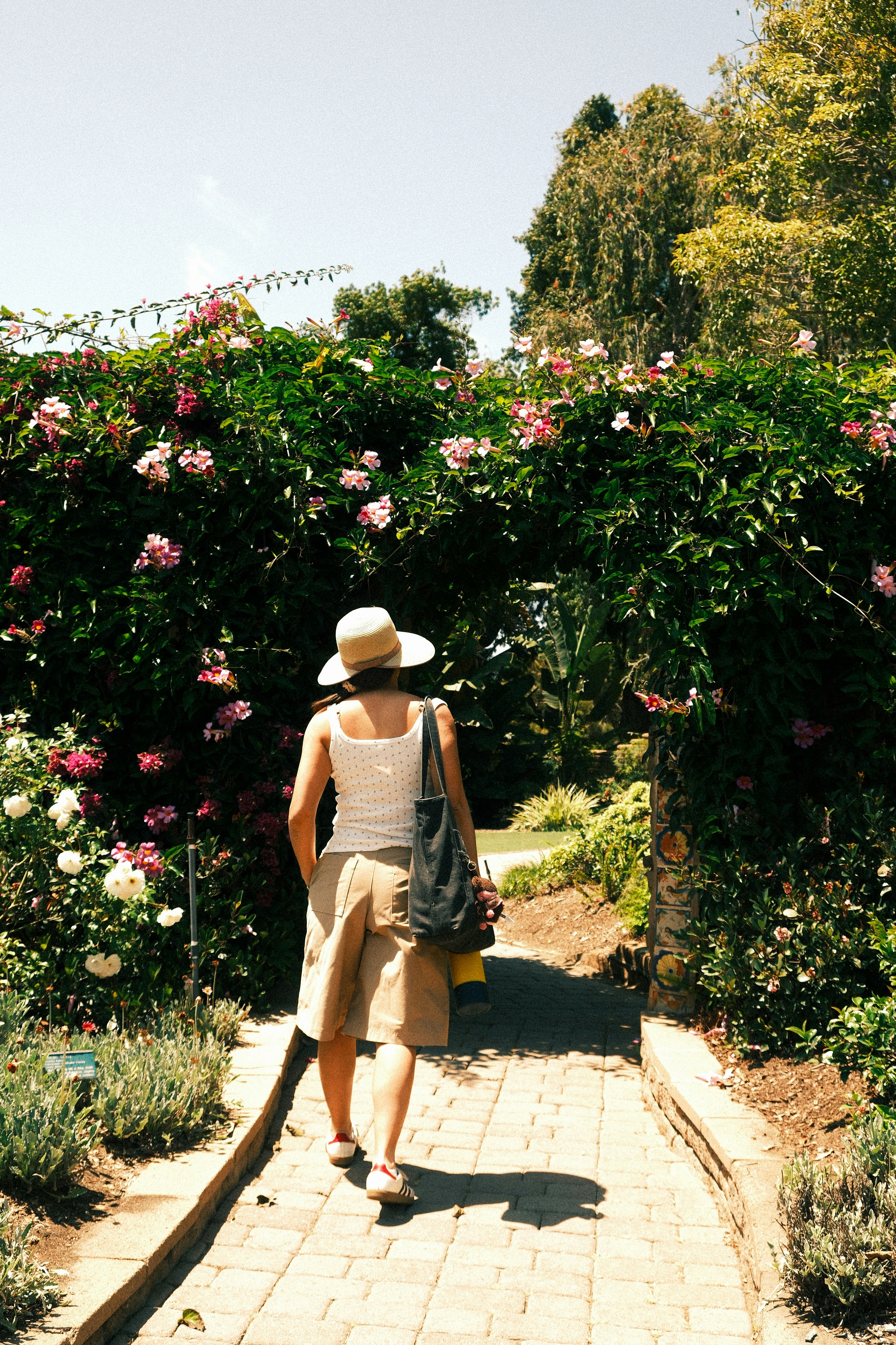 Woman walking under a blooming rose archway in a garden.