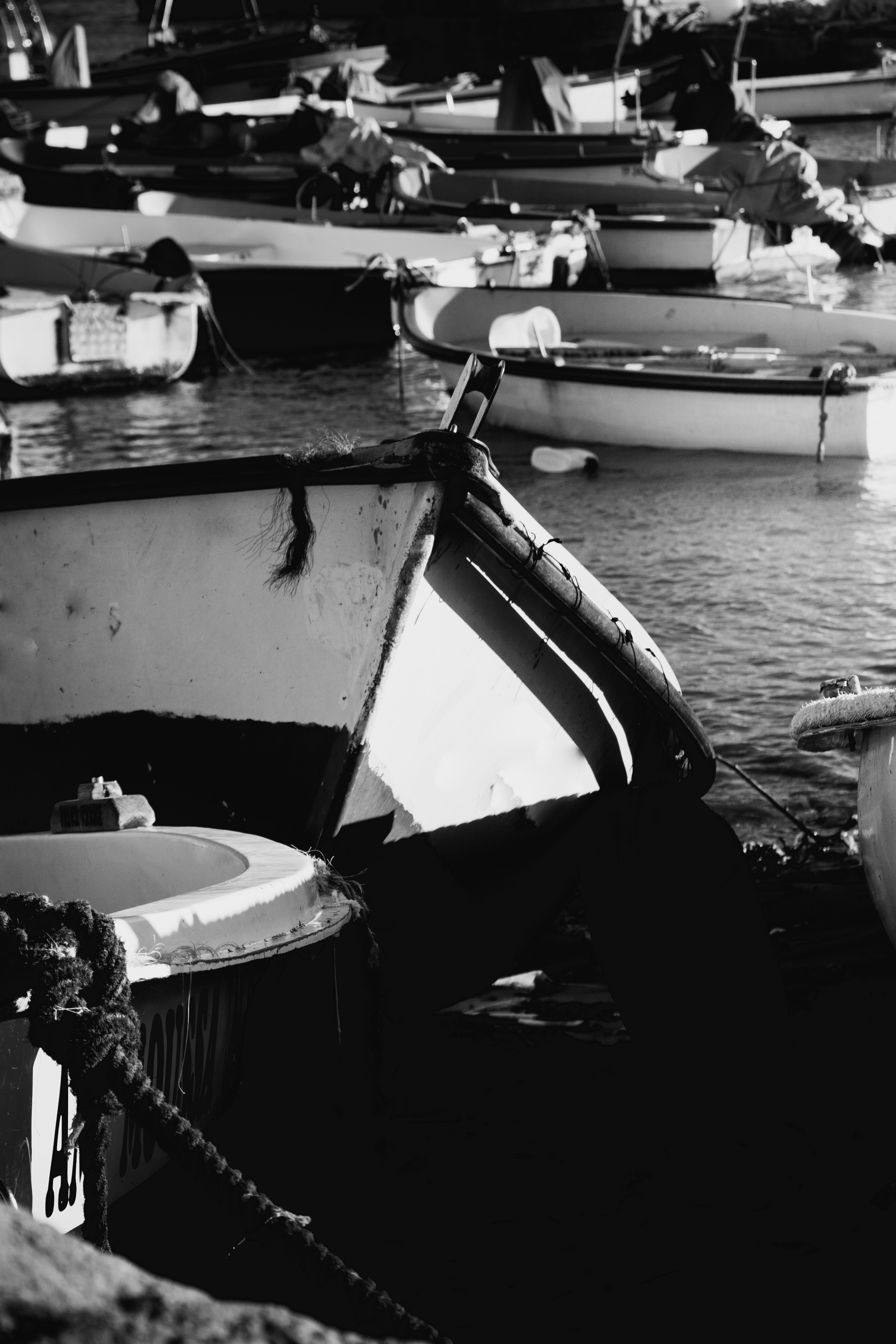 Photo by abdellahbnz