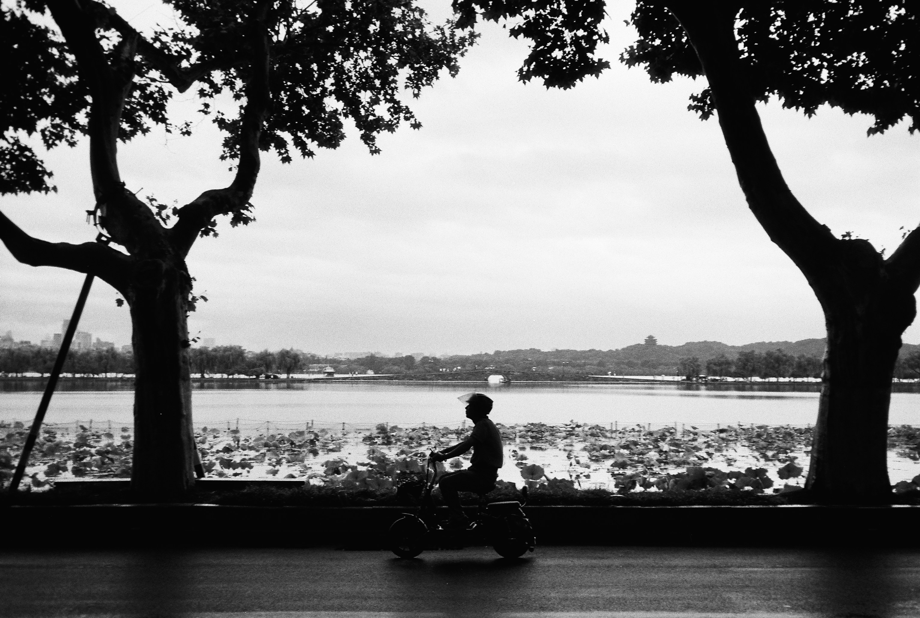 Pessoa em silhueta andando de scooter ao longo de um lago com árvores.