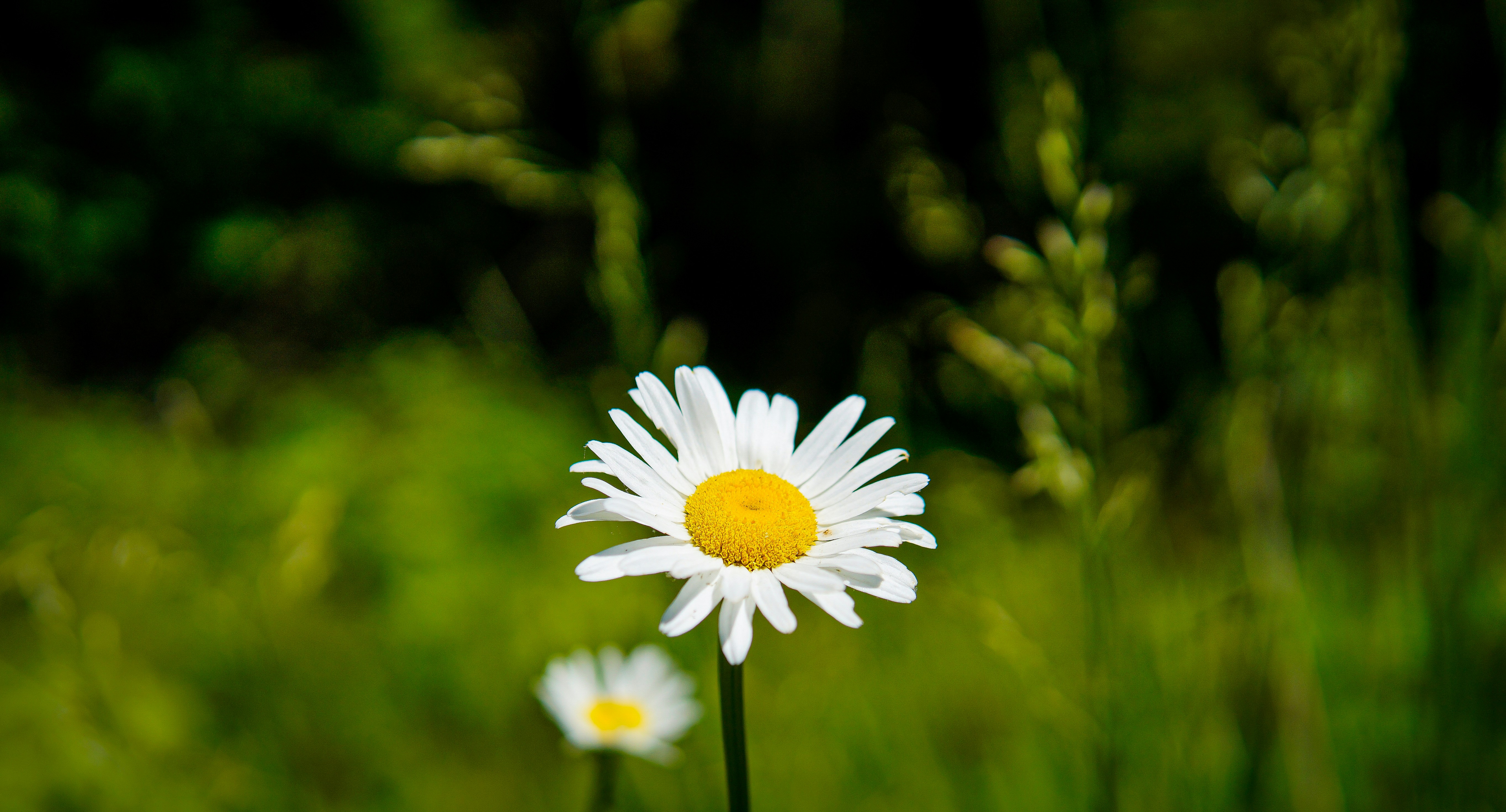 Photo by steinman_photography