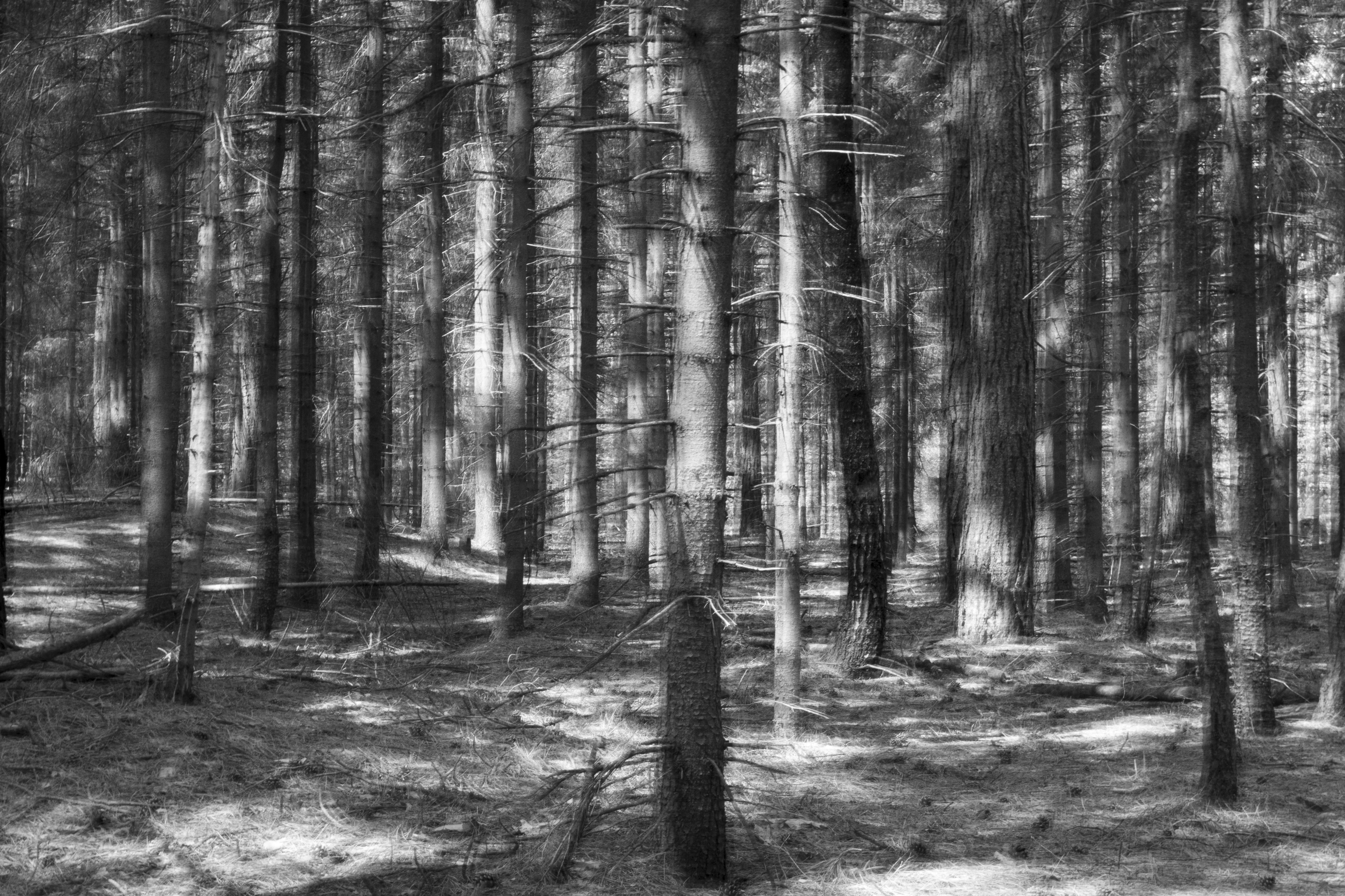 Photo by fertroulik