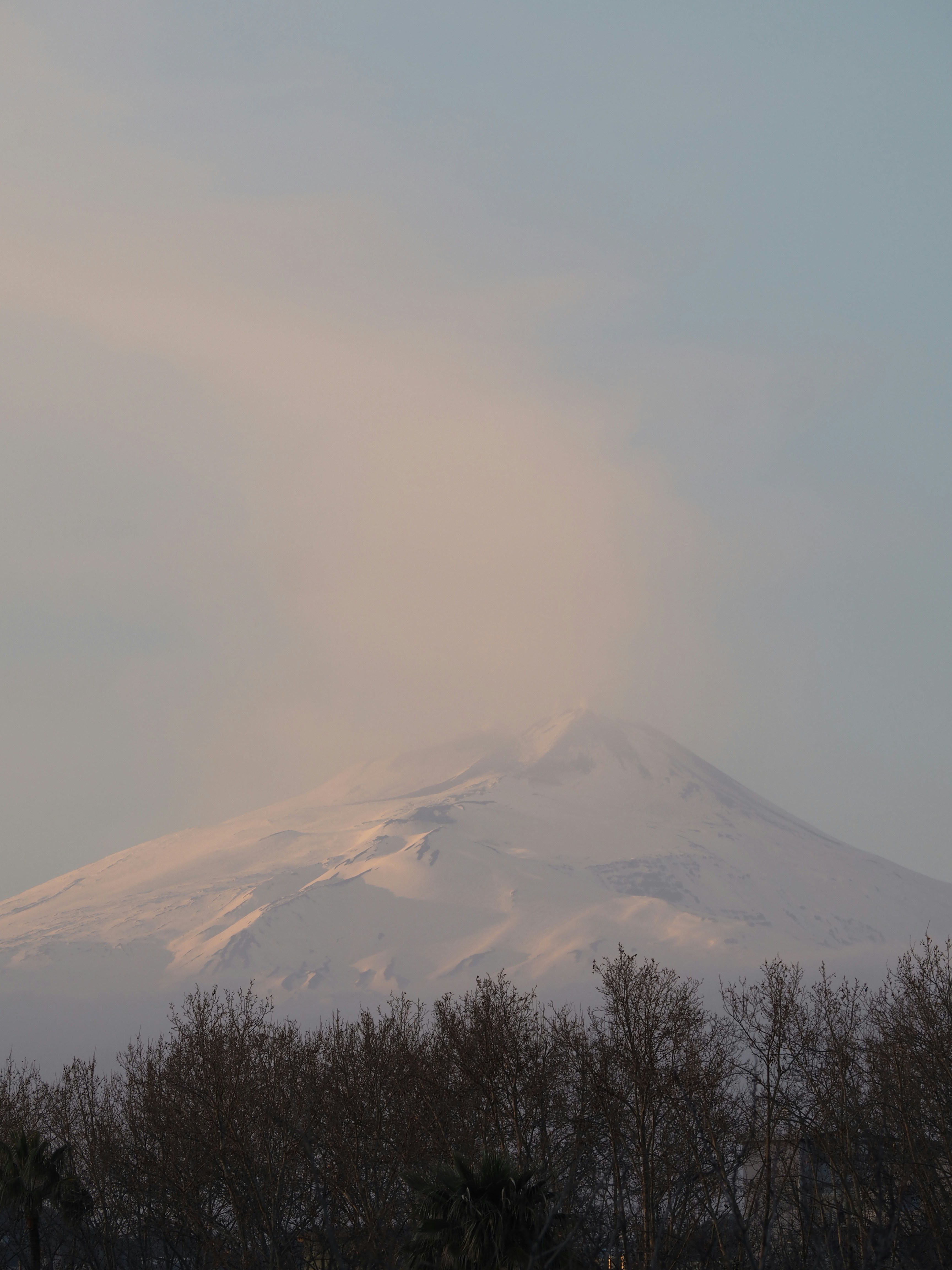Snow-capped mountain peak above dark trees in hazy light