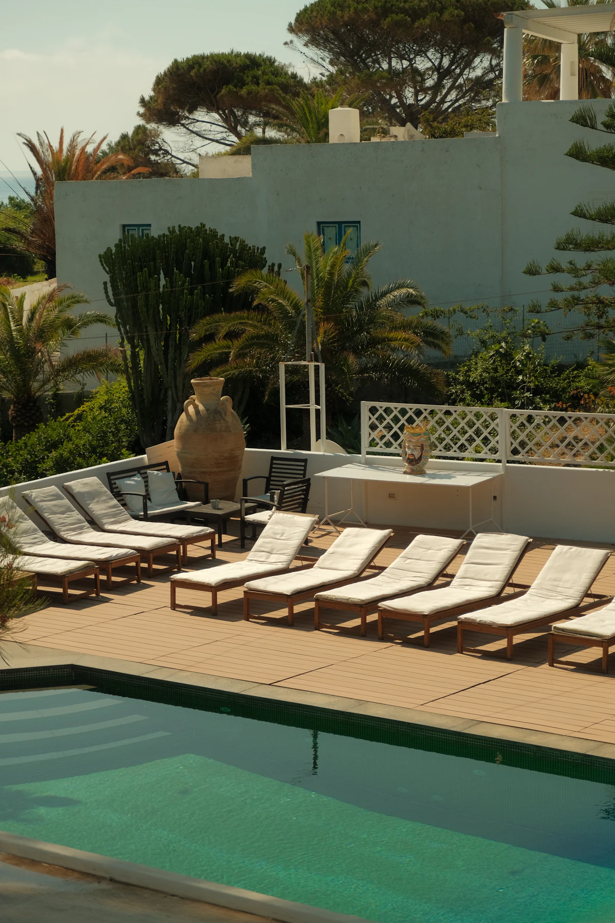 Resort swimming pool surrounded by sunbeds and green plants