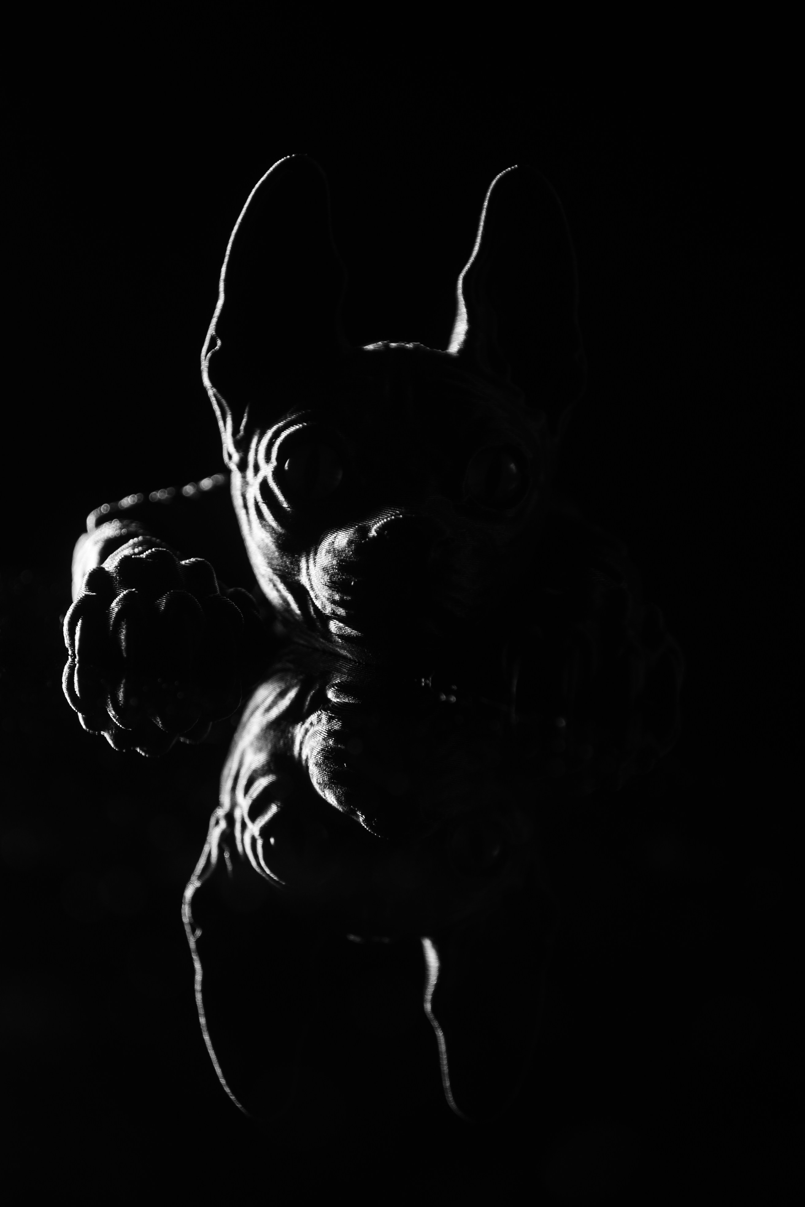 Dark, textured figure with dramatic lighting.