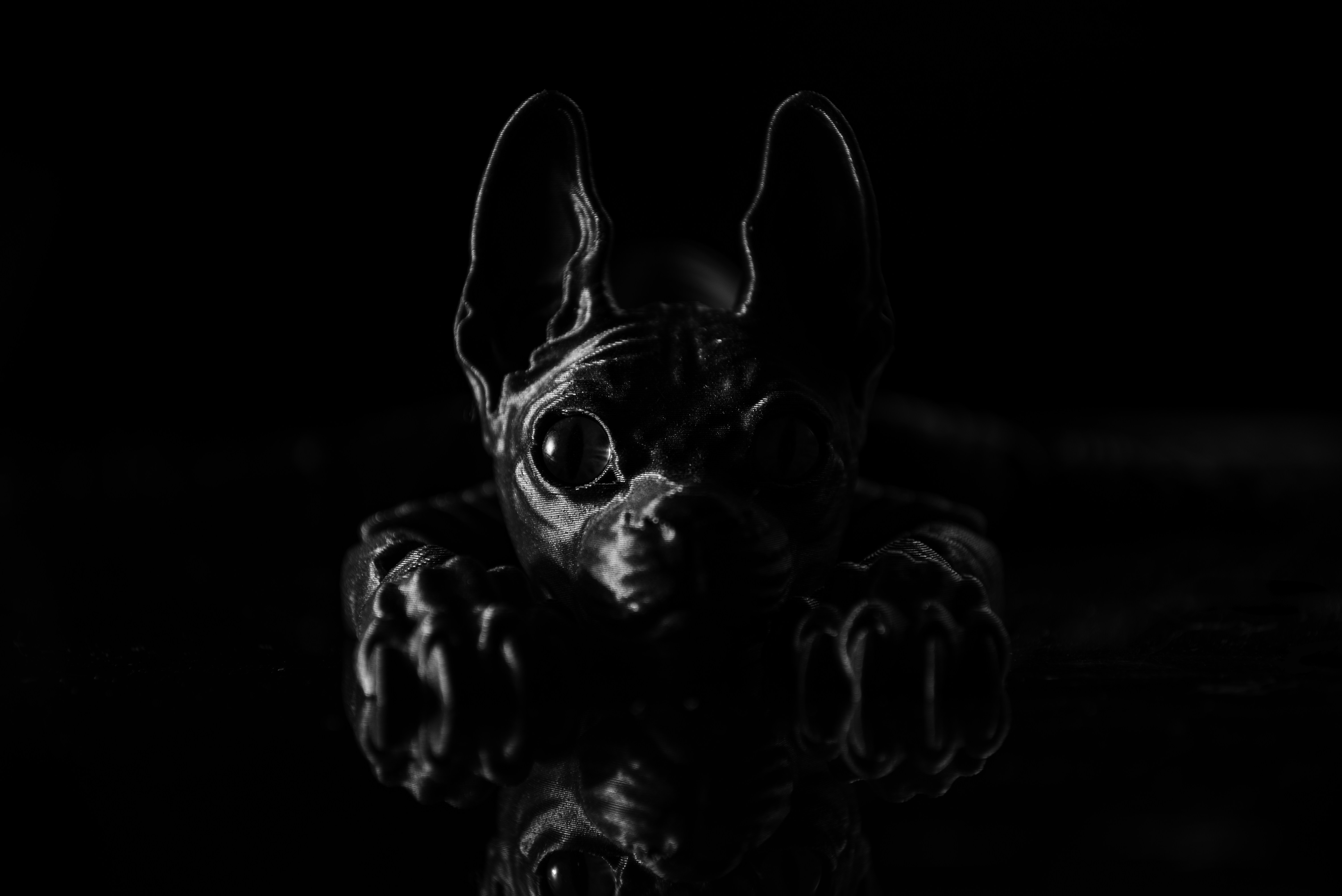 A black dog-like figure with large eyes in darkness.