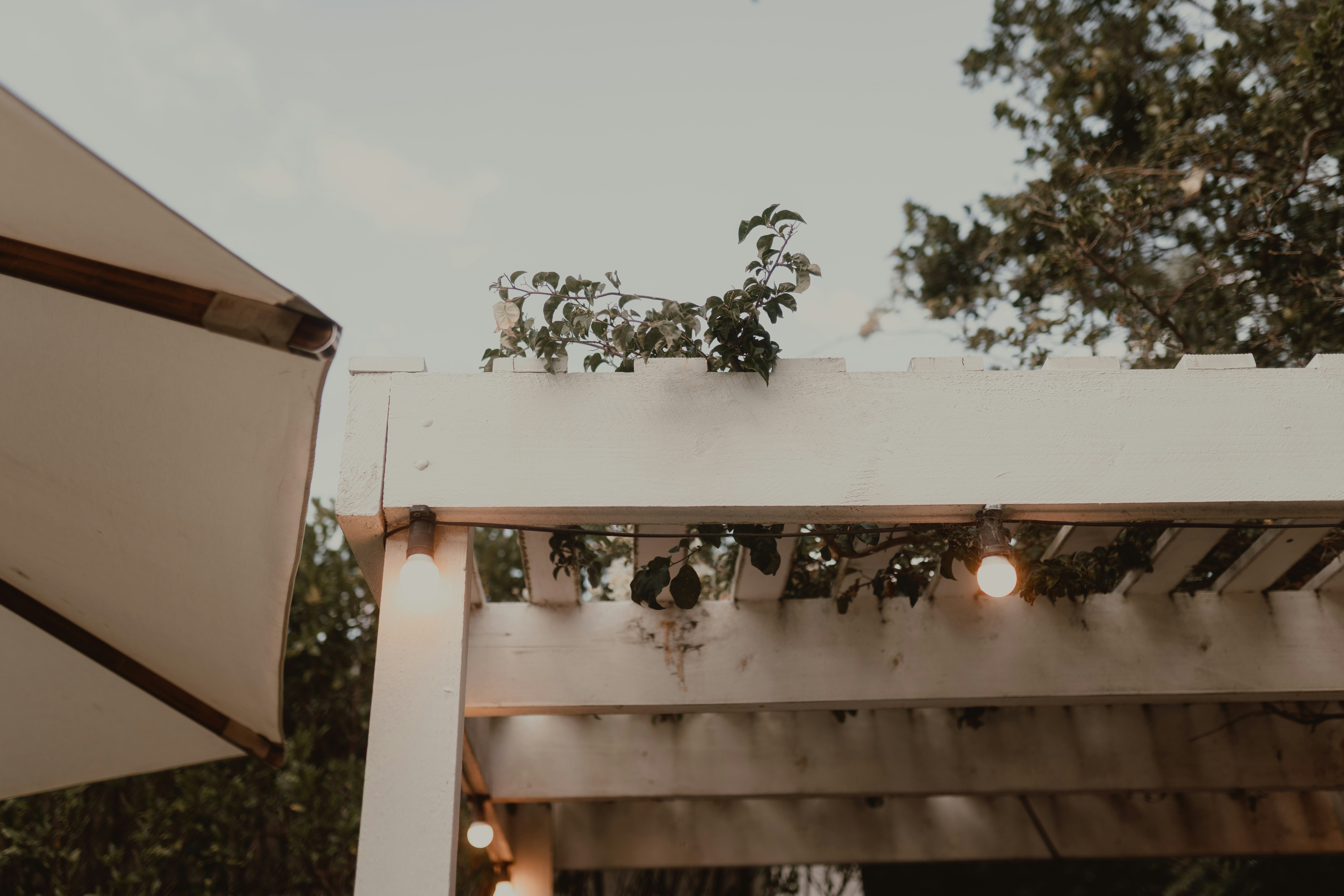 Your Backyard, Your Rules: How to Build an Outdoor Space You Love Without Paying Contractor Prices
