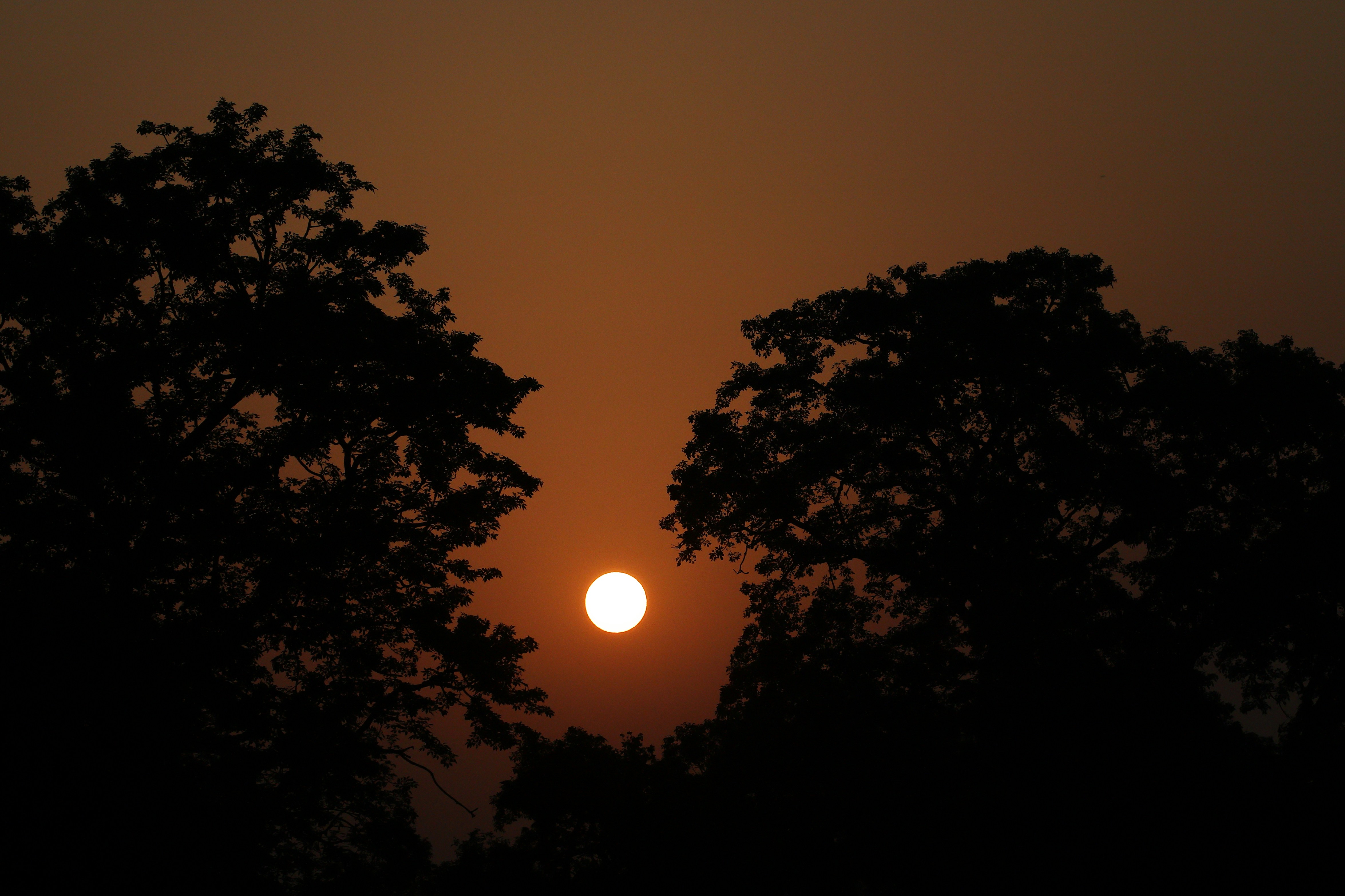 Photo by lakshmimn68