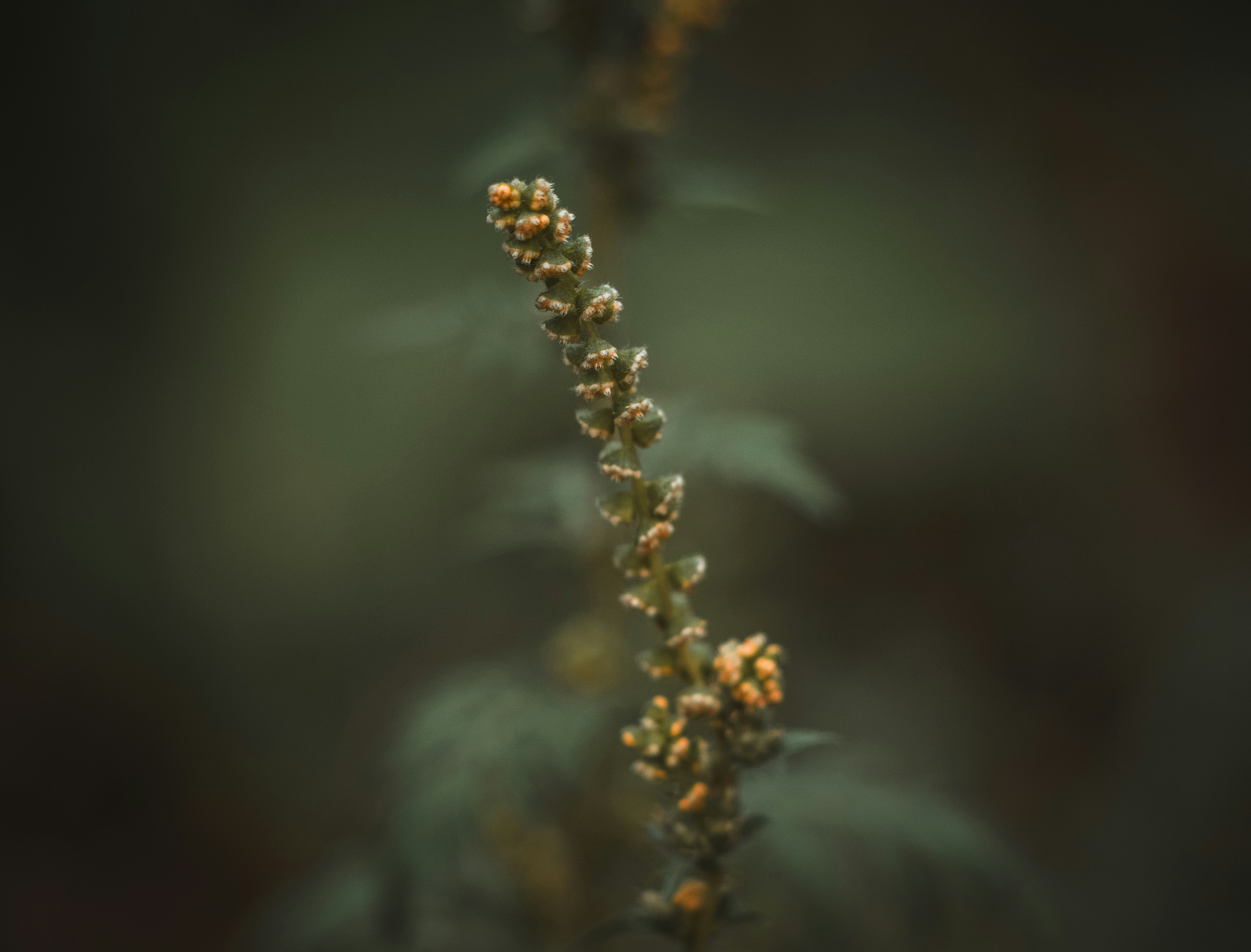Photo by kaivoo