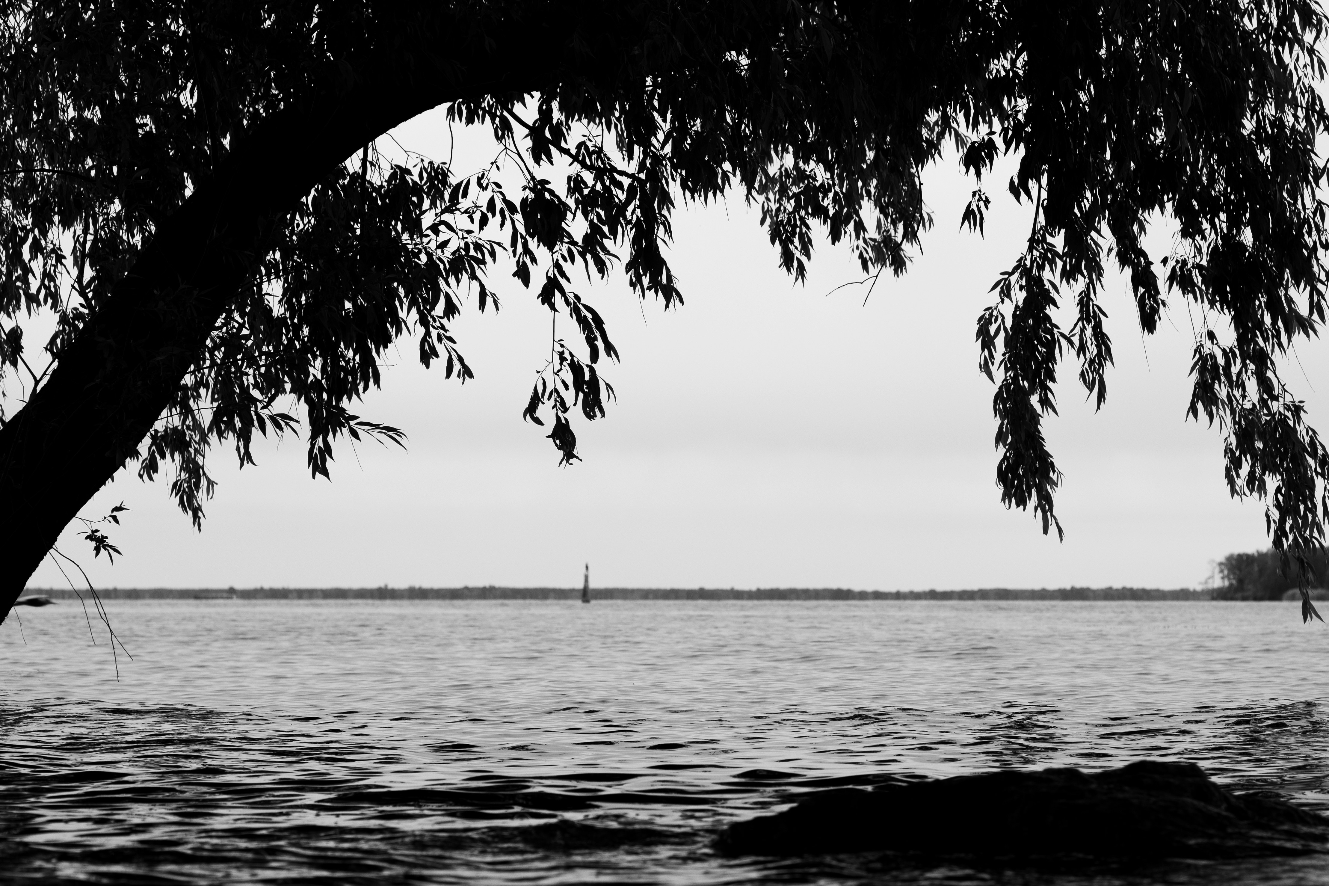 Photo by anshved