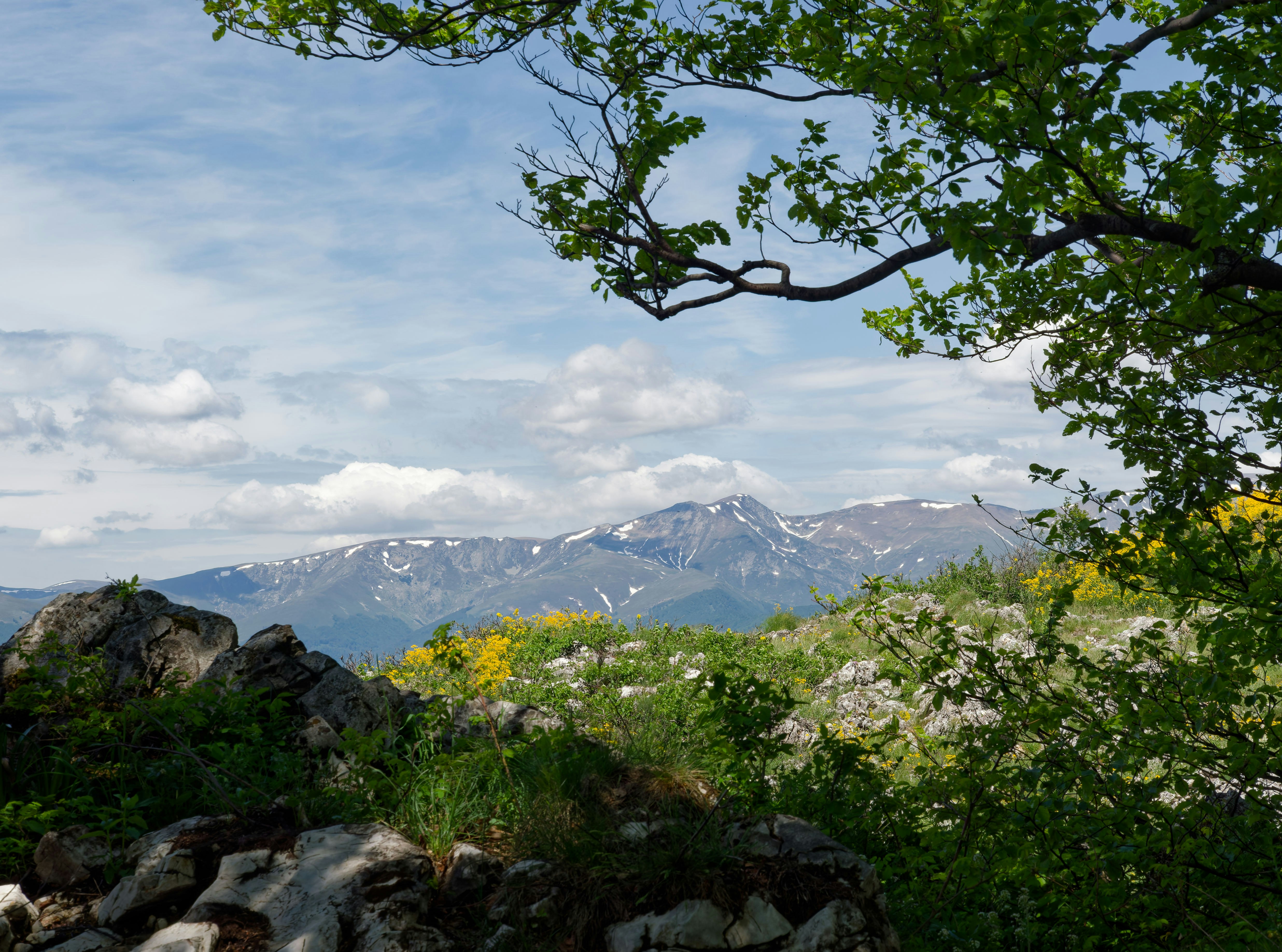 Paysage montagneux avec des sommets enneigés et un feuillage vert.