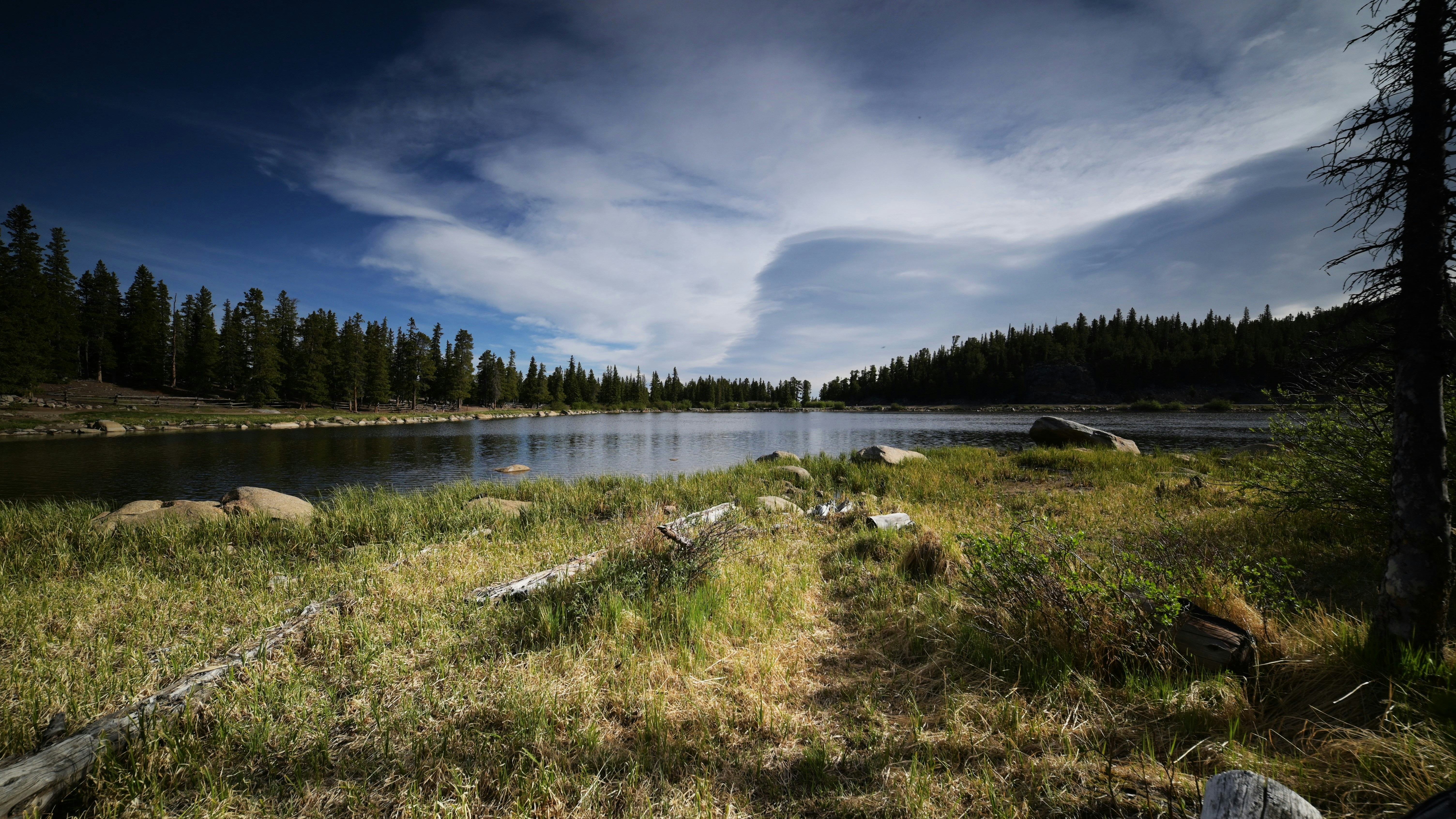 Photo by gennady107