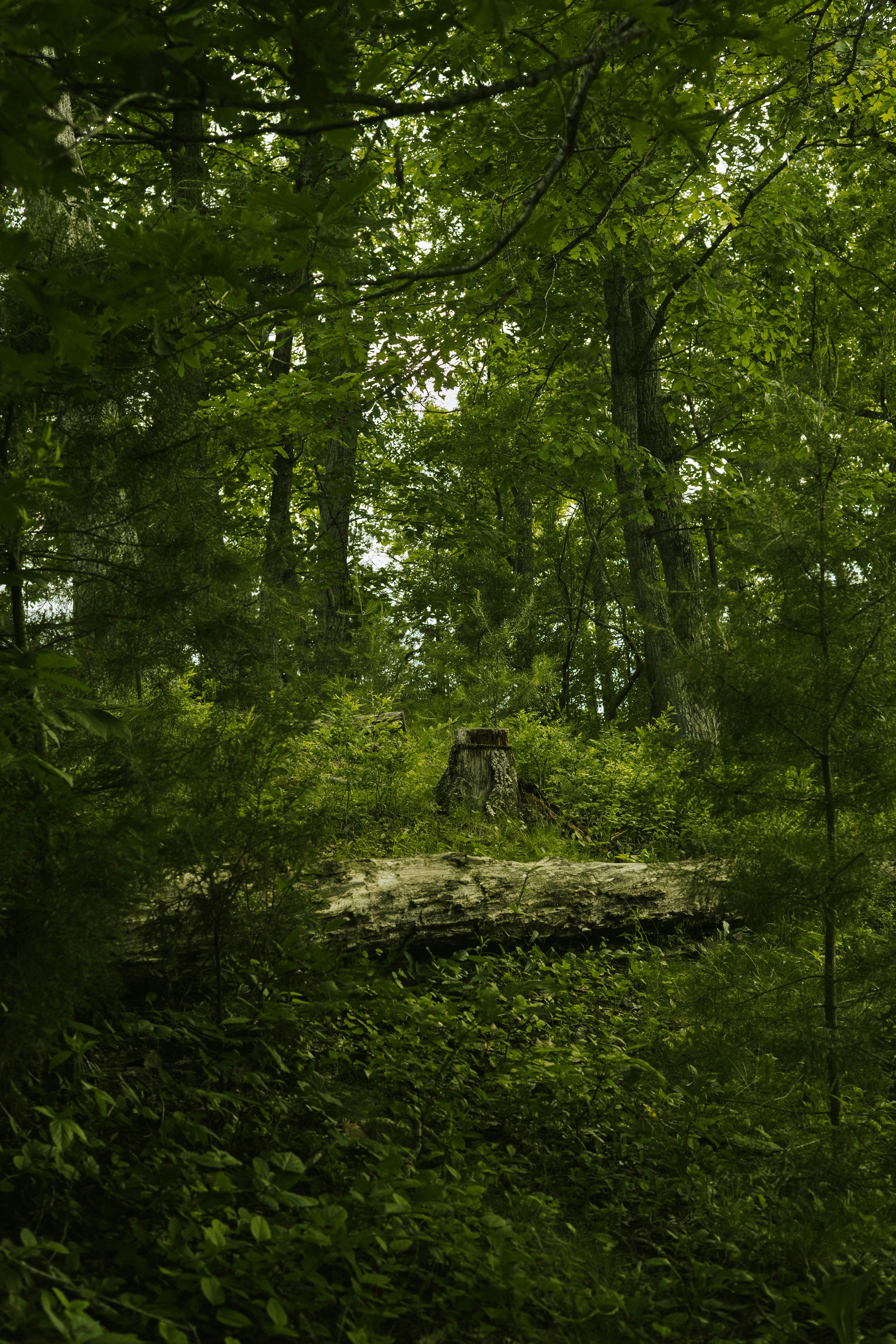 Photo by ebrittingham