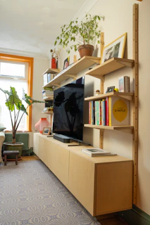 Modern living room with tv, shelves, books, and plants.
