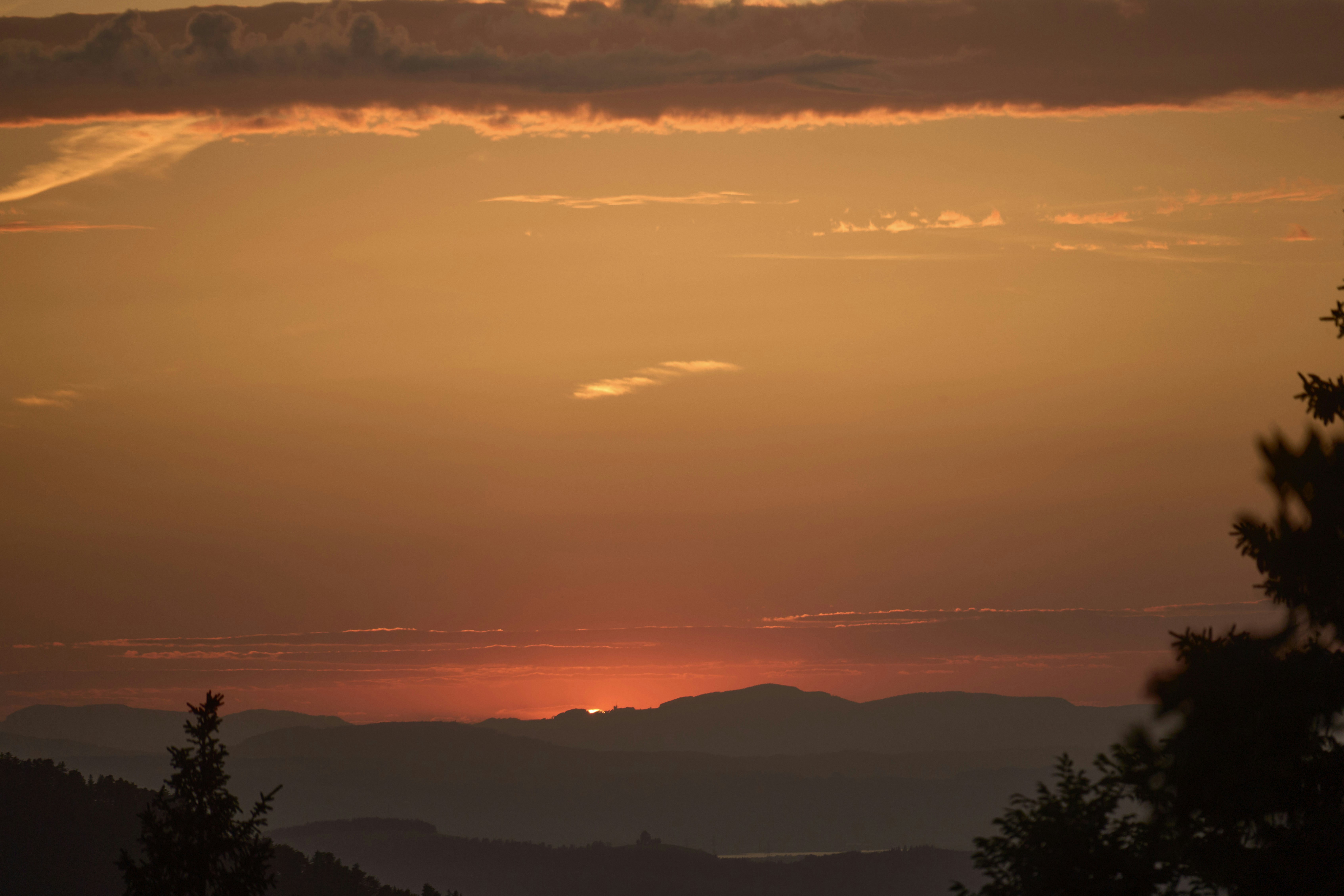 Photo by wolfgang_hasselmann